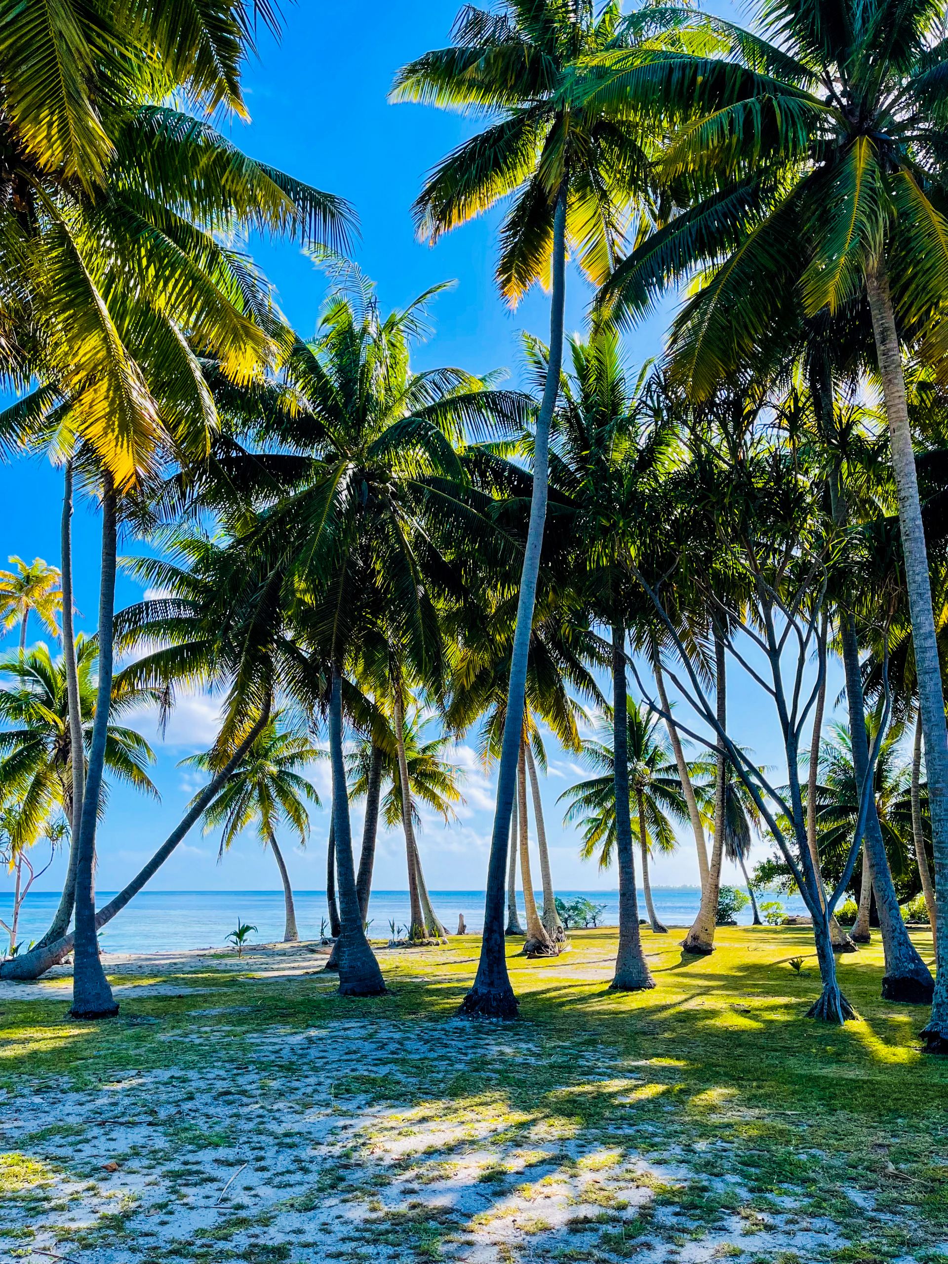 Motu Fara Private Island 