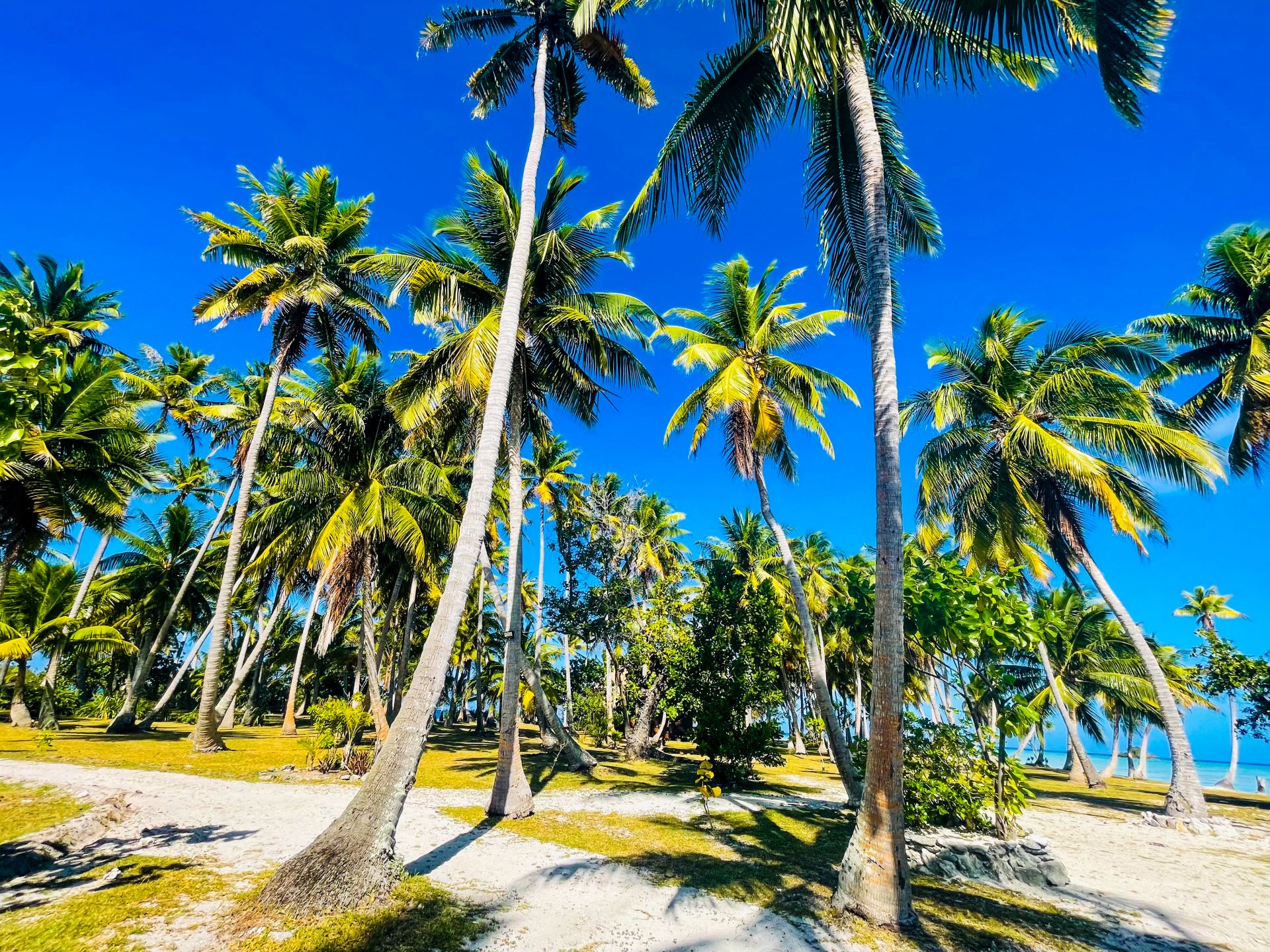 Motu Fara Private Island 