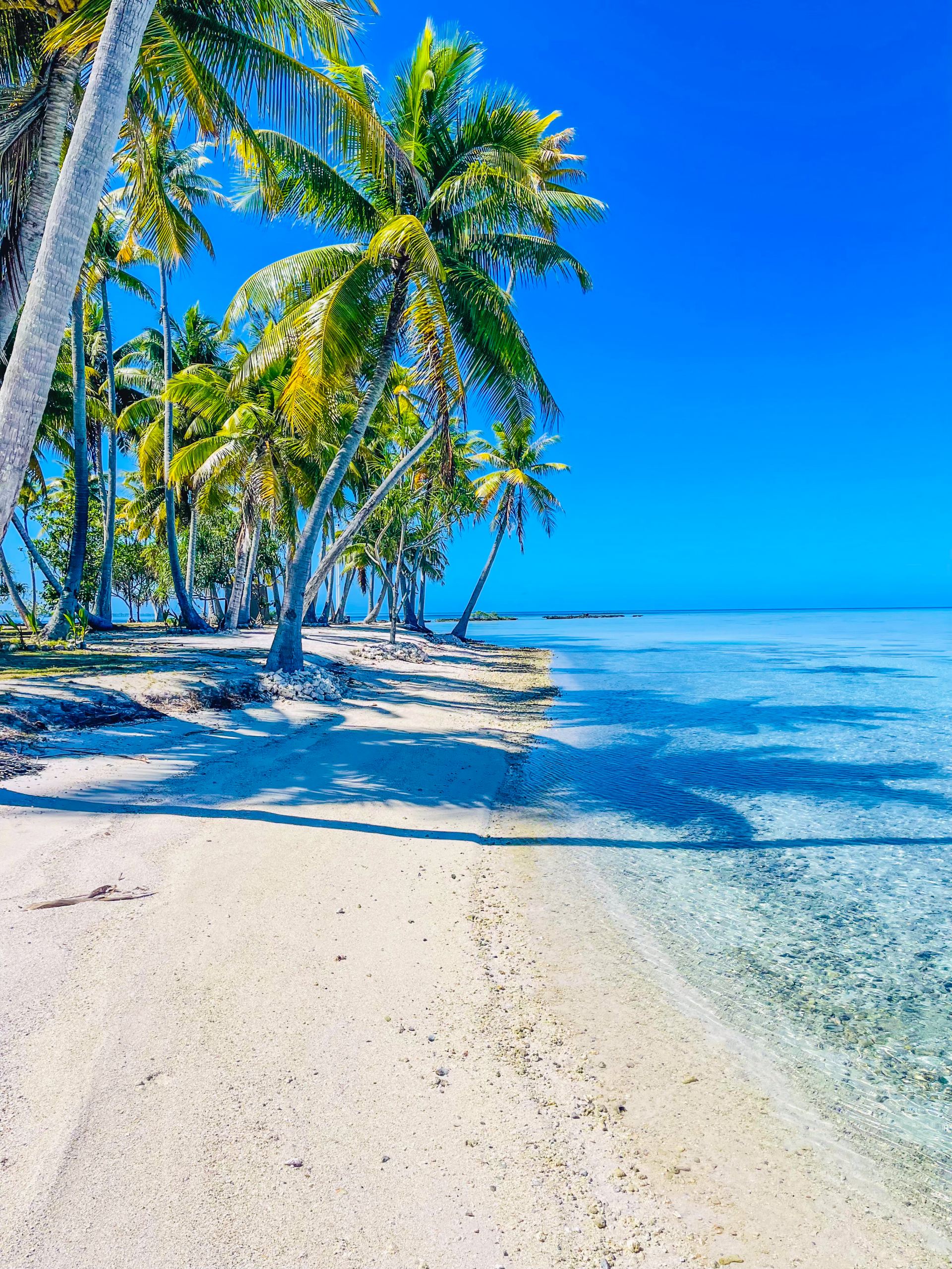 Motu Fara Private Island 