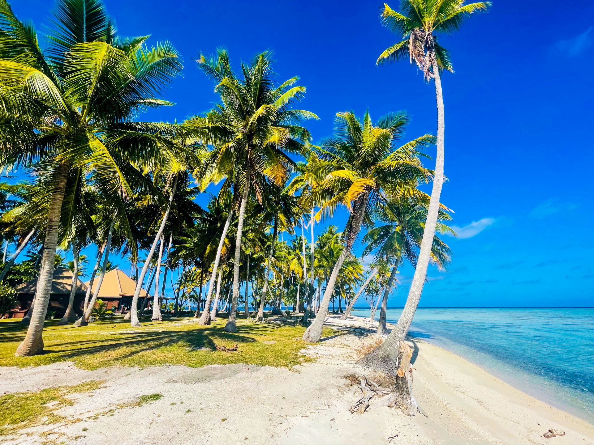 Motu Fara Private Island 