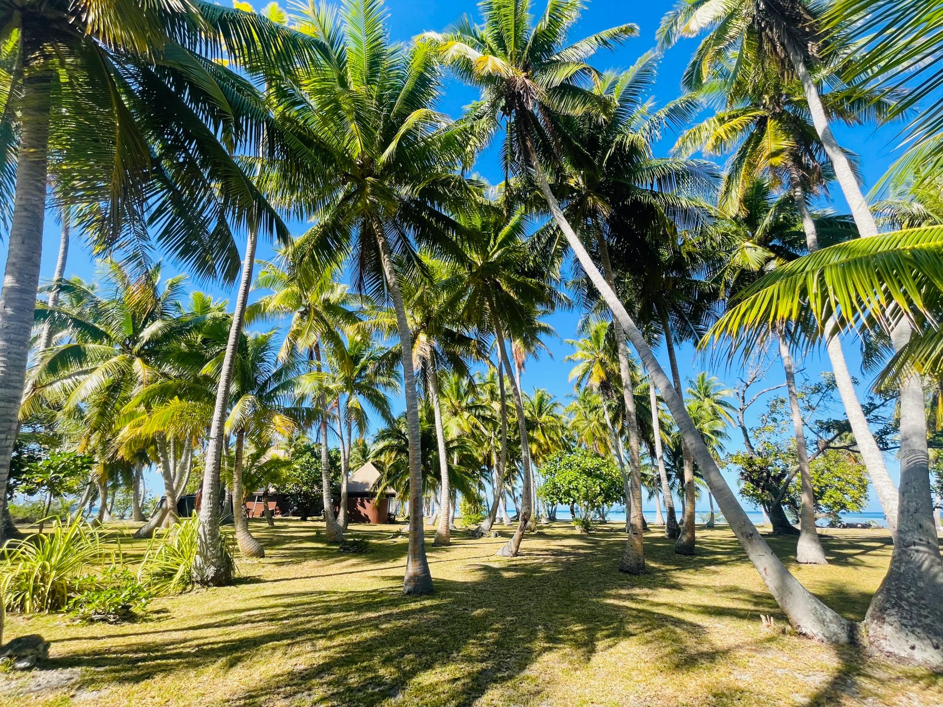 Motu Fara Private Island 