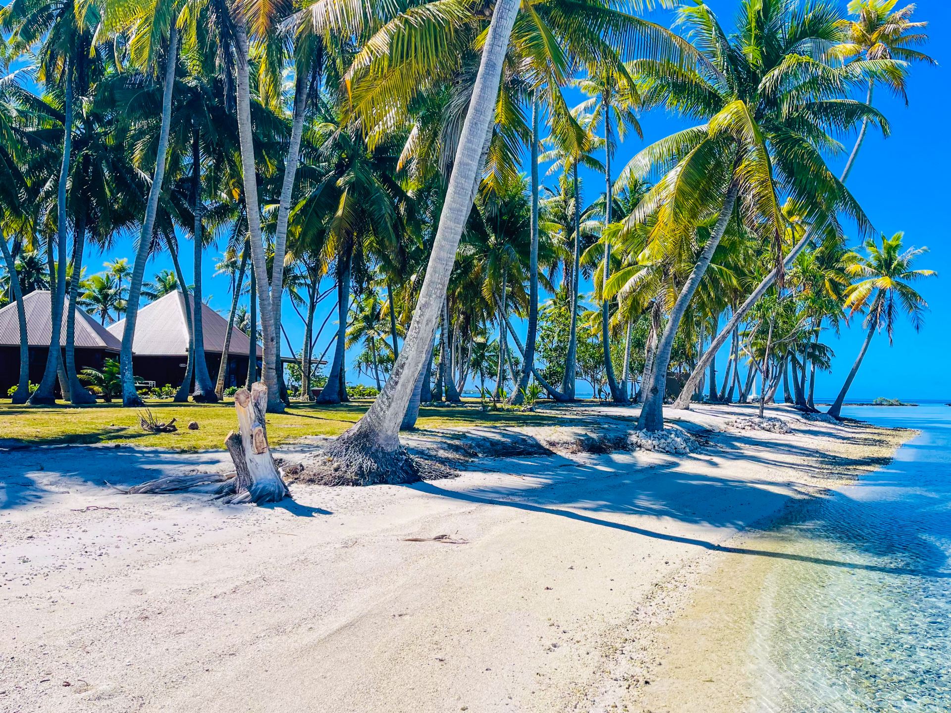 Motu Fara Private Island 