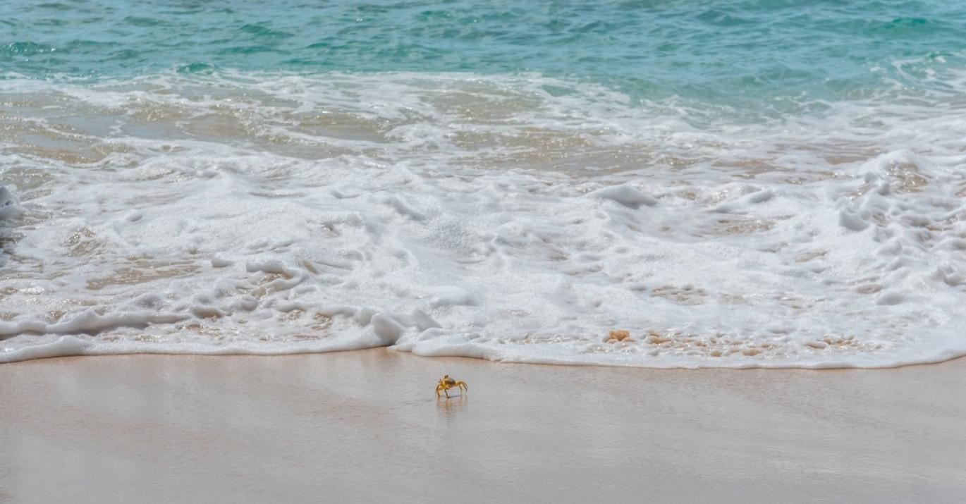 Villa Cove Spring House