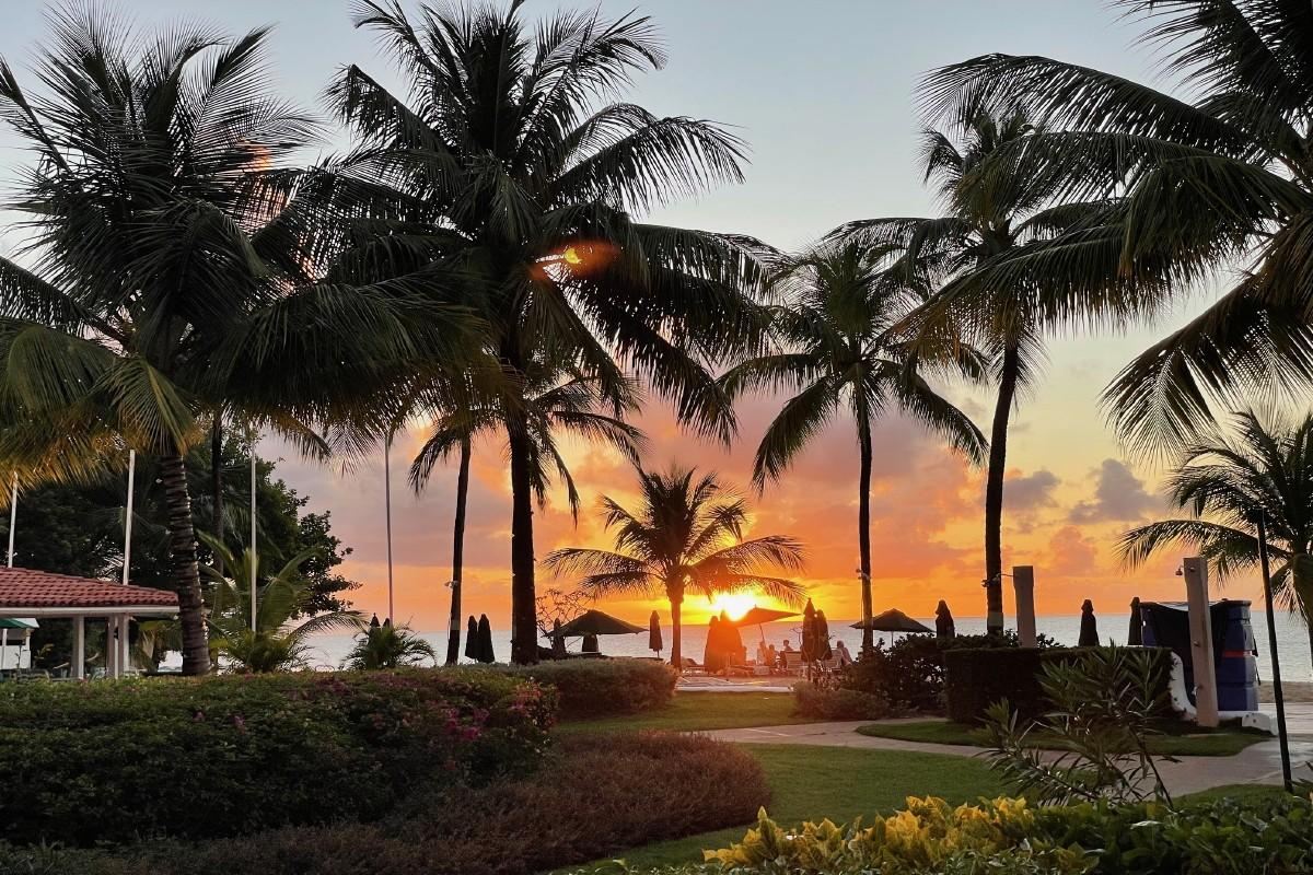 Glitter Bay 102, 49 Steps