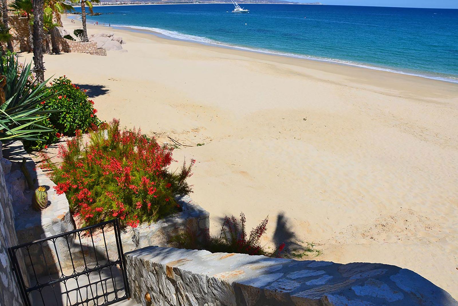 Casa Corazon Palmilla