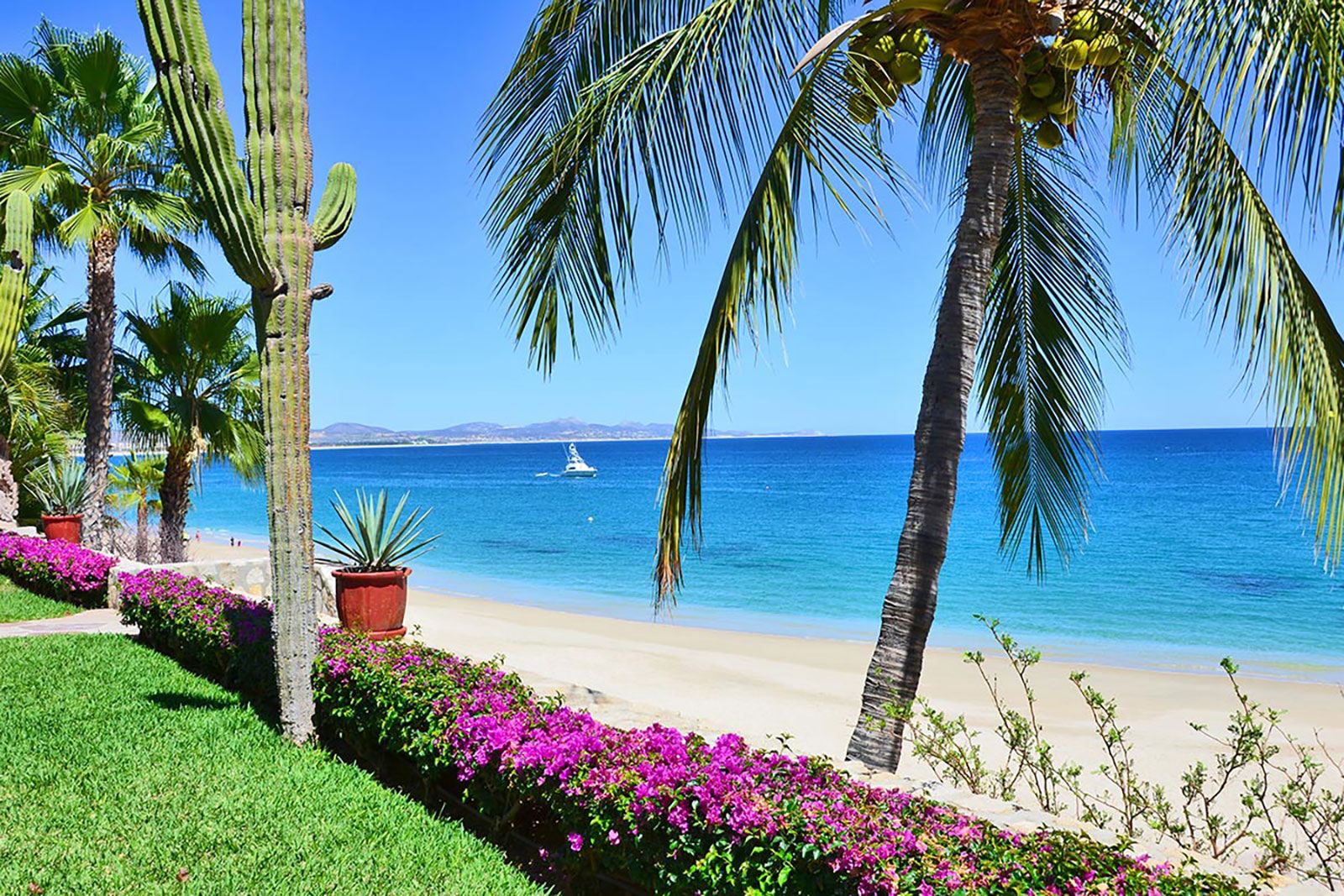 Casa Corazon Palmilla