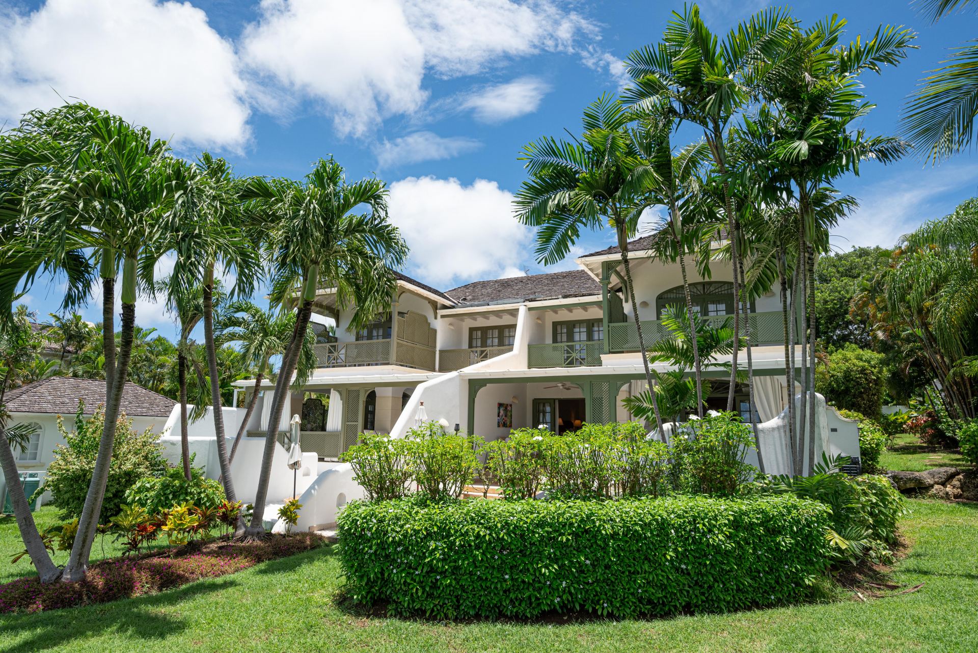 Sugar Hill A16, Sugar Plum