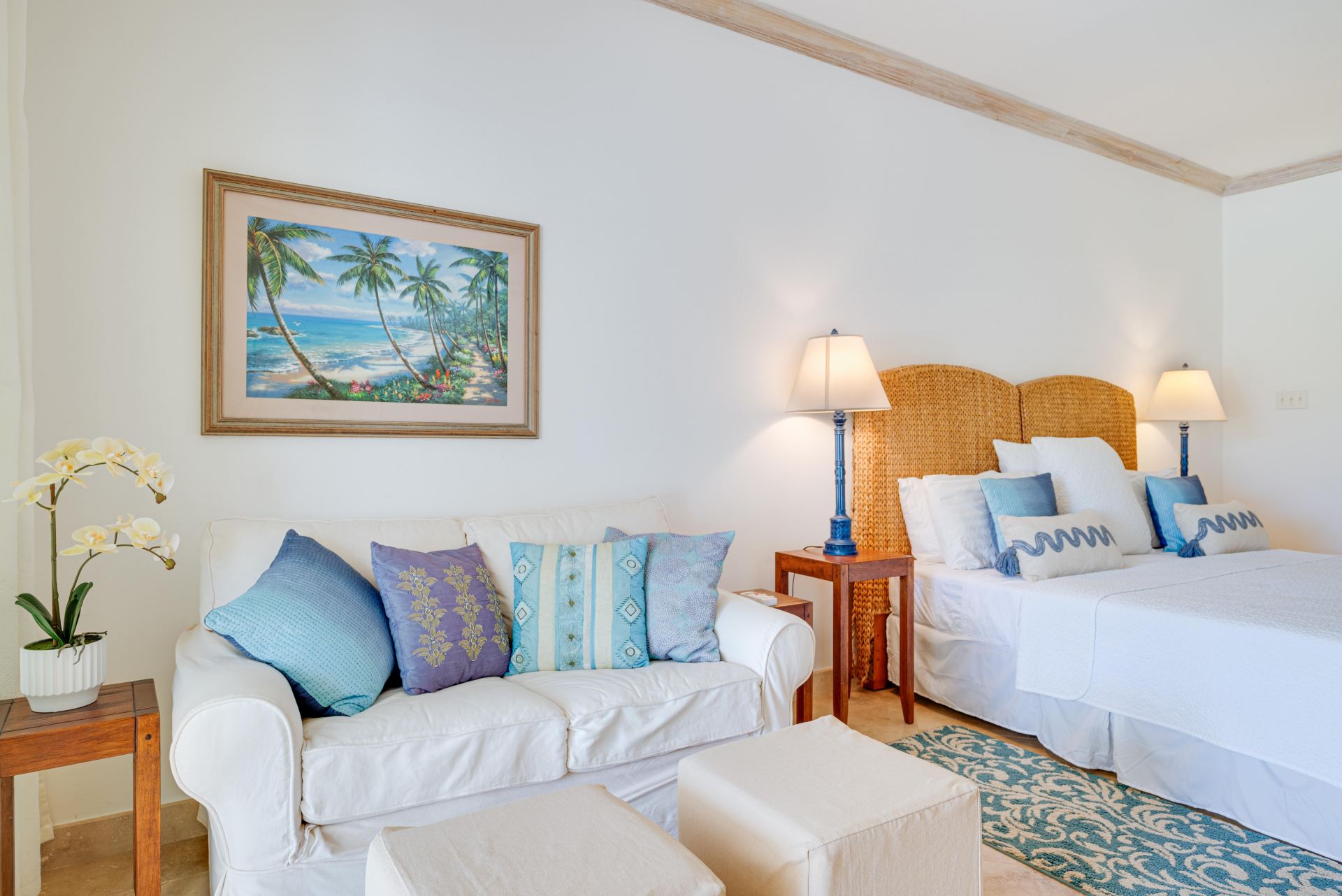 Sugar Hill A16, Sugar Plum