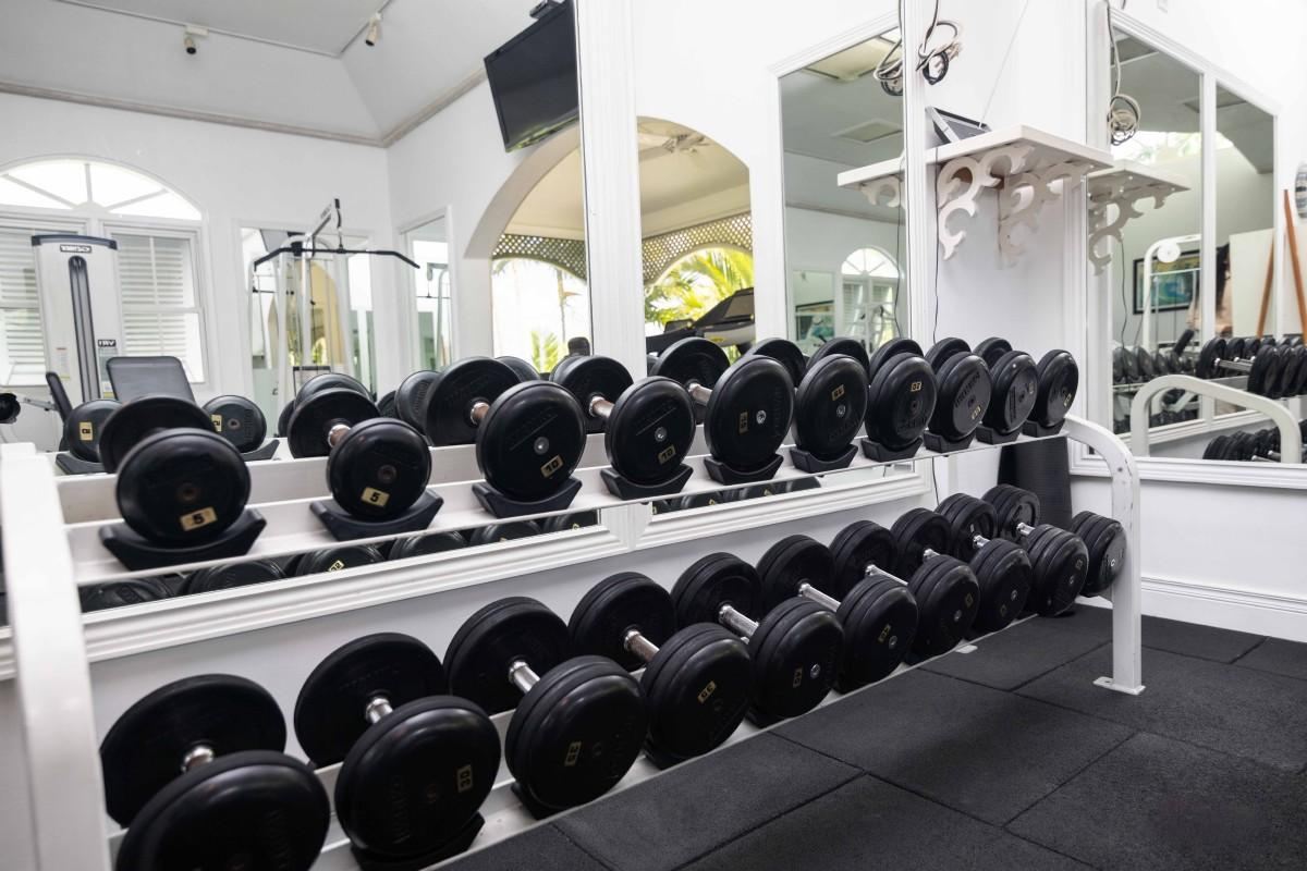 Sugar Hill A104, Palm Breeze