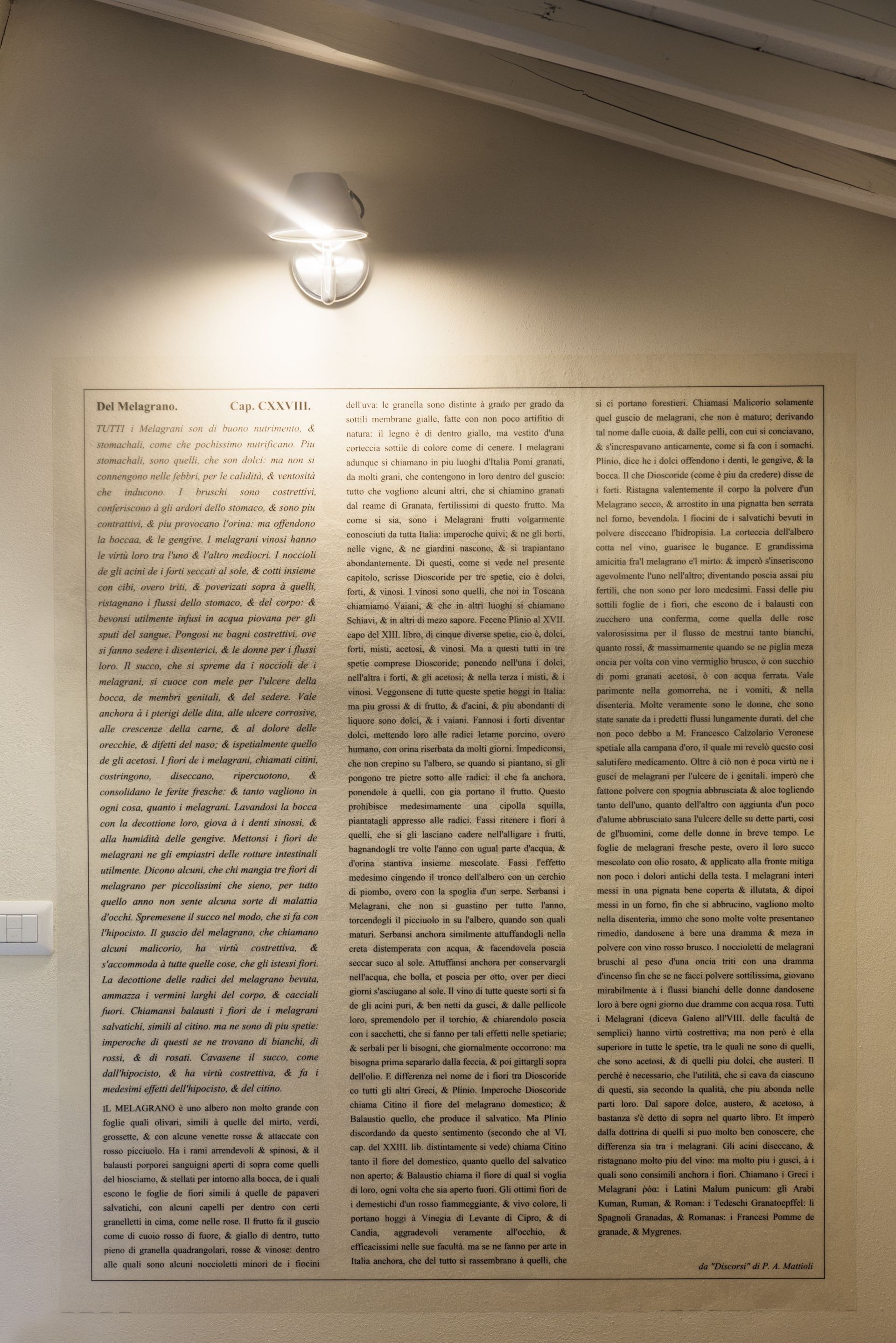 Villa L Orto di Vignamaggio