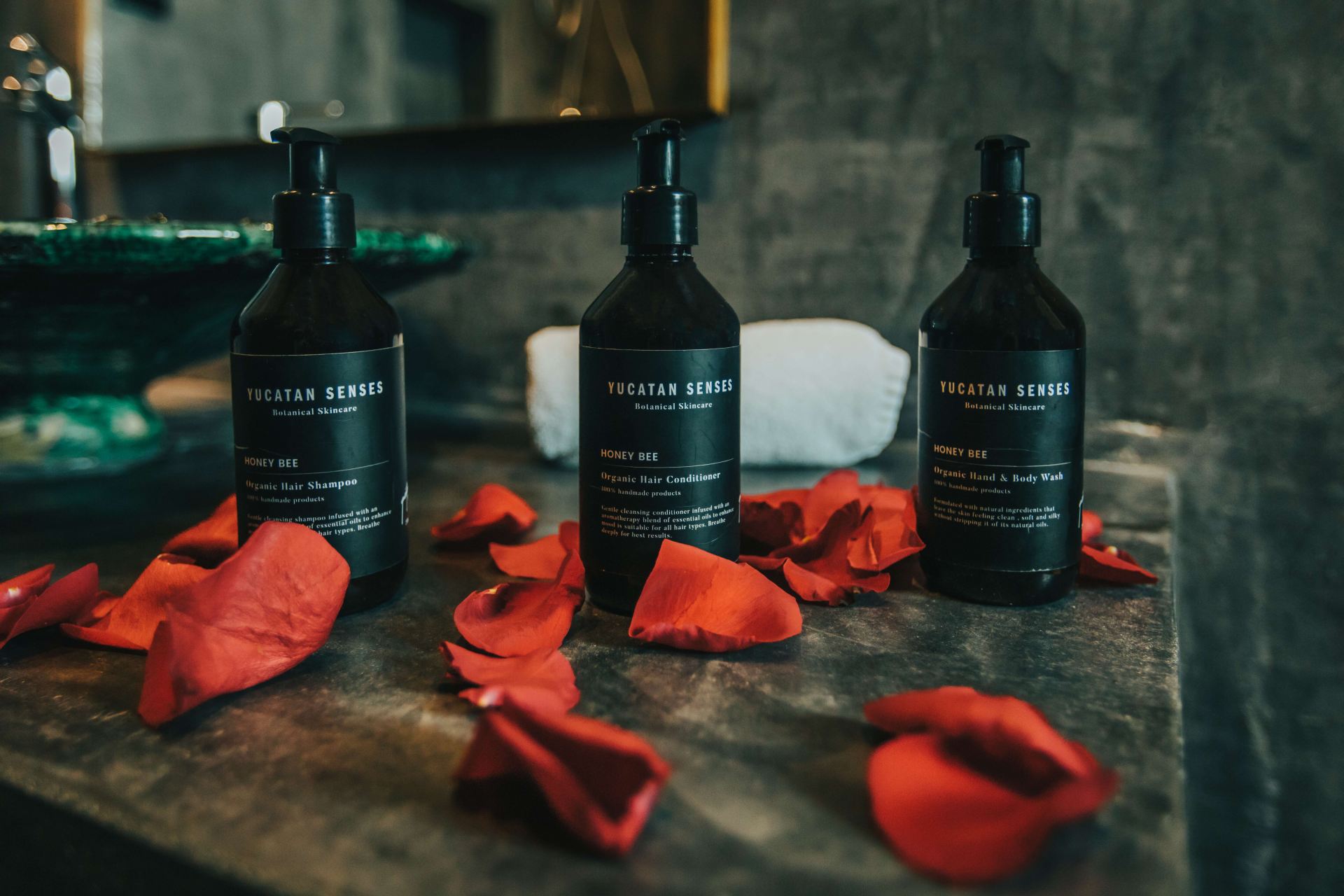 Villa Riad Ambre et Epices