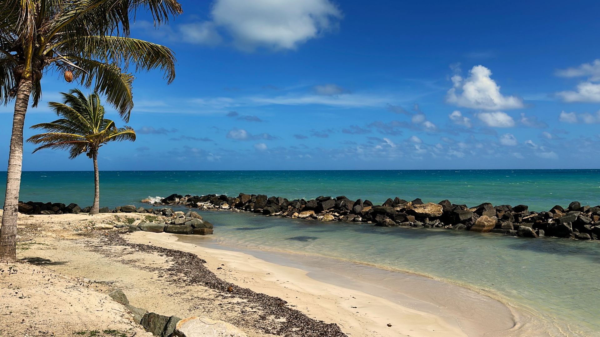 La Marea & Guest House