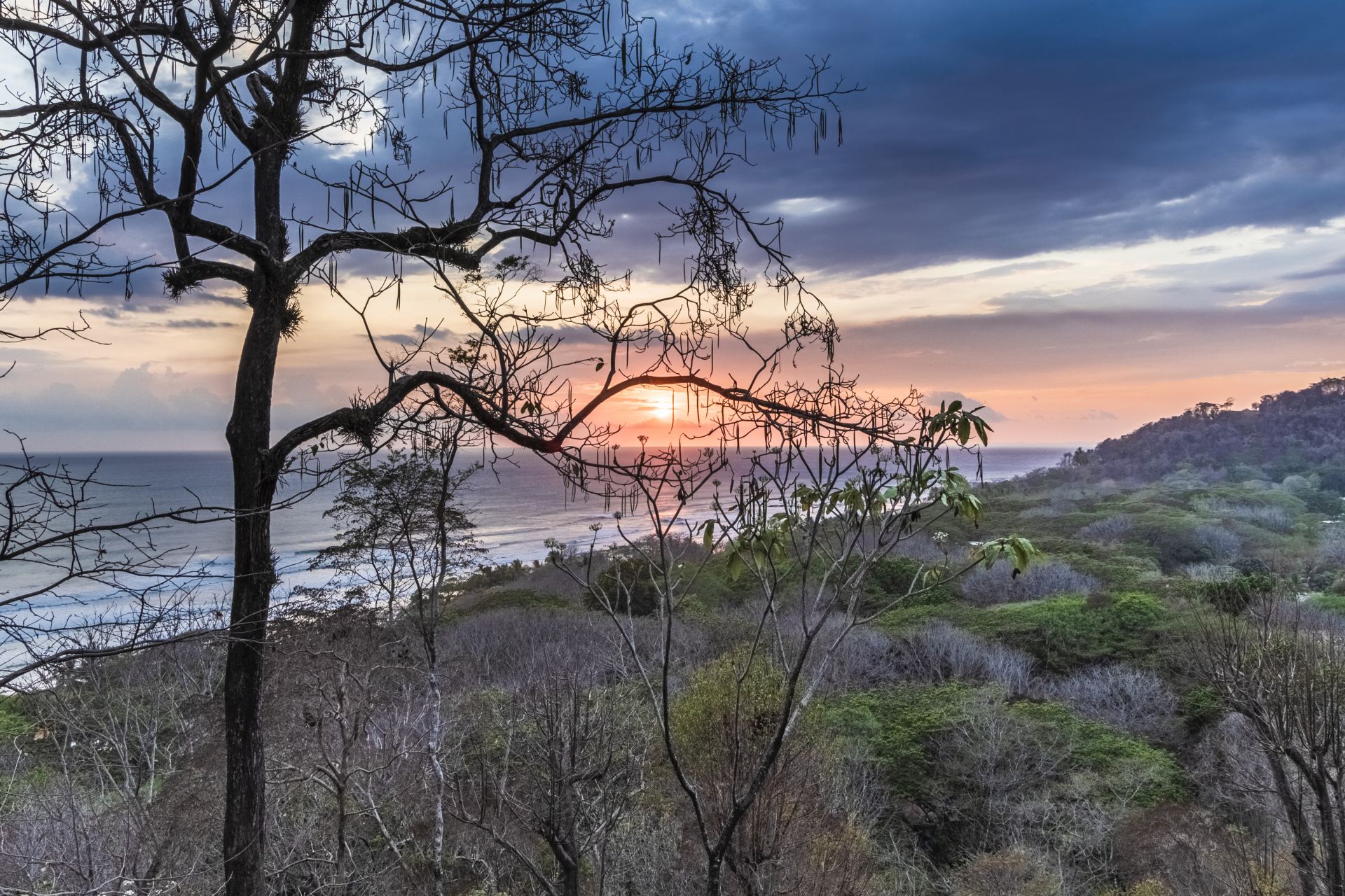 Magna Pacific Villas