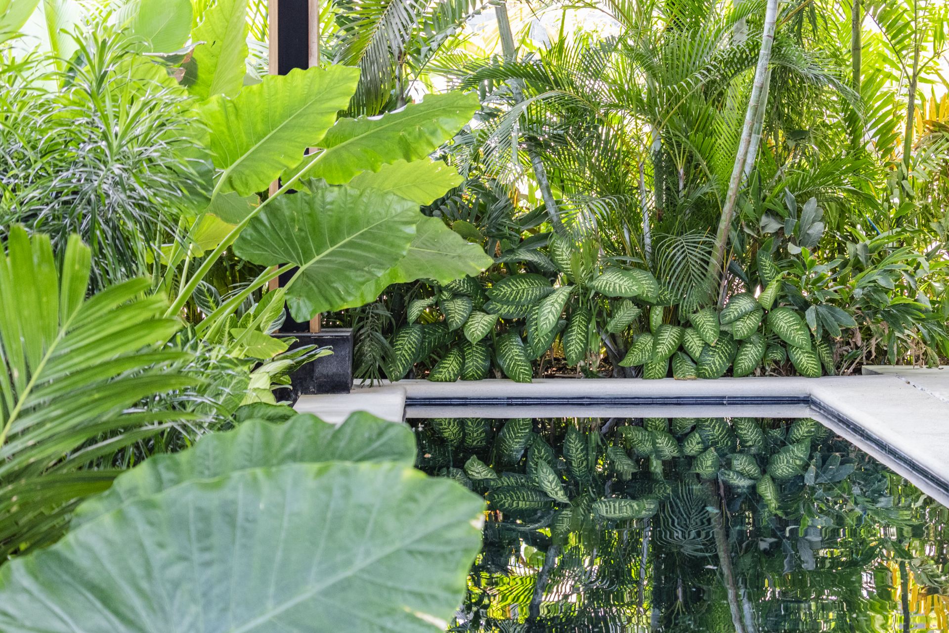 Magna Pacific Villas