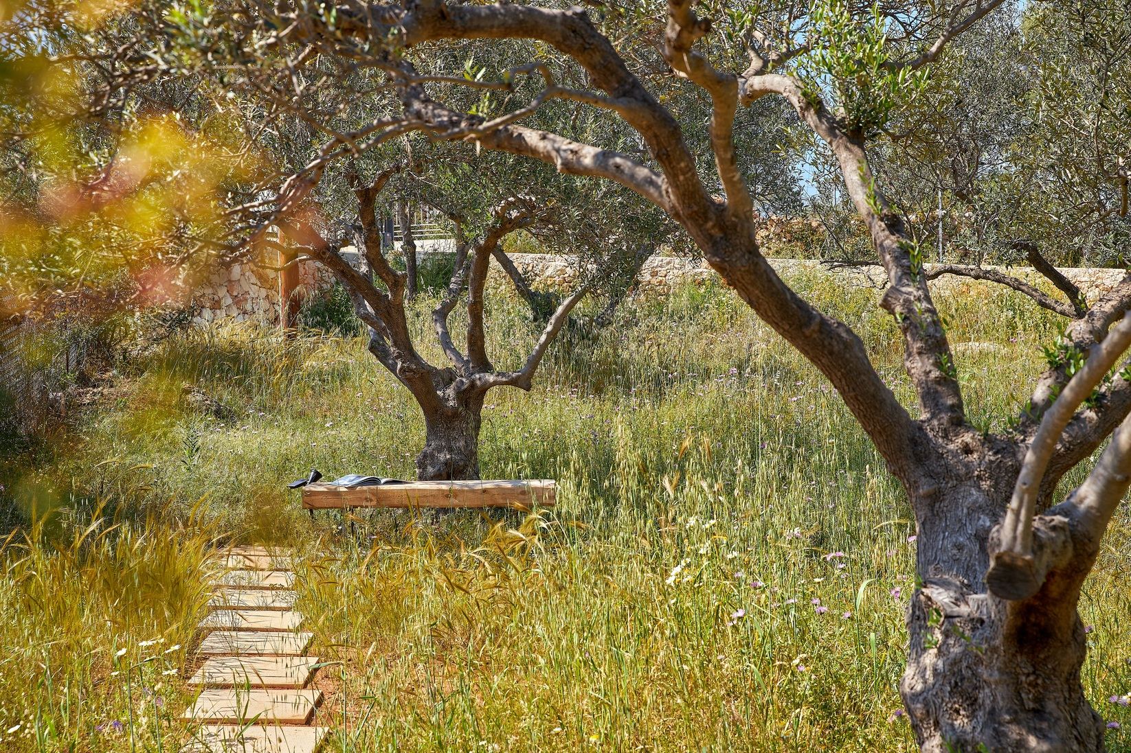 Olives & Thyme Retreat