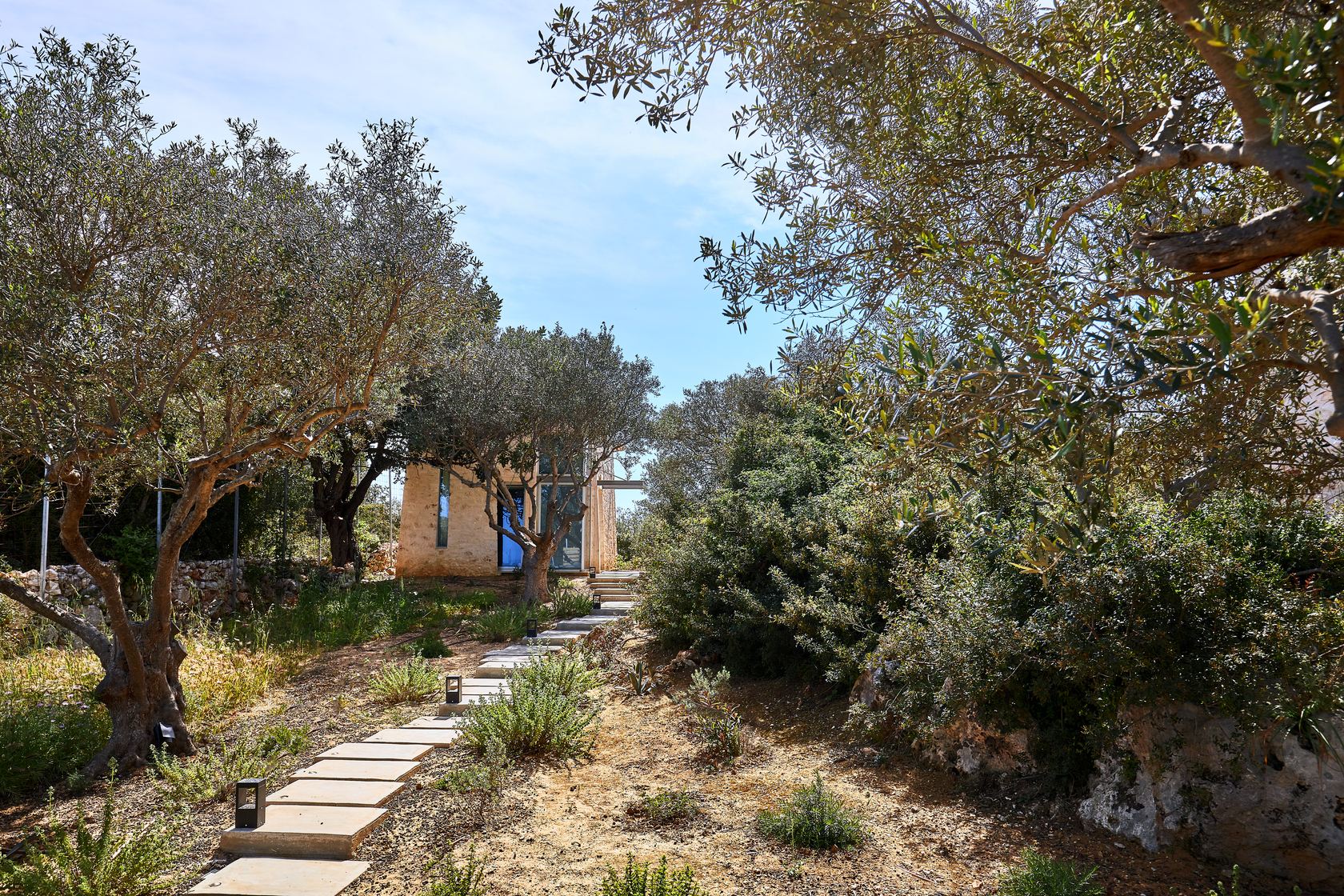 Olives & Thyme Retreat