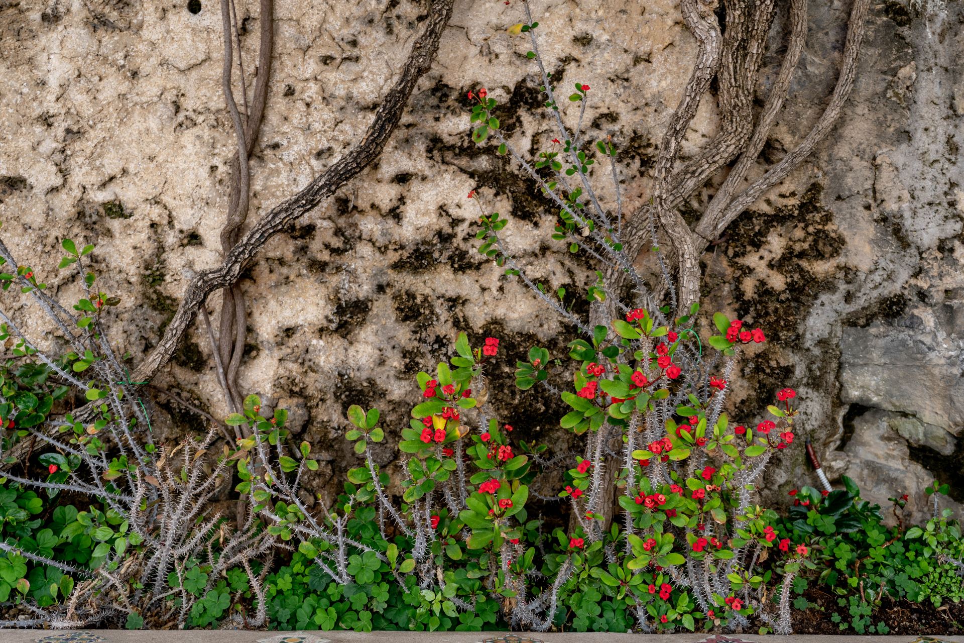 Villa Dimora Di Mare