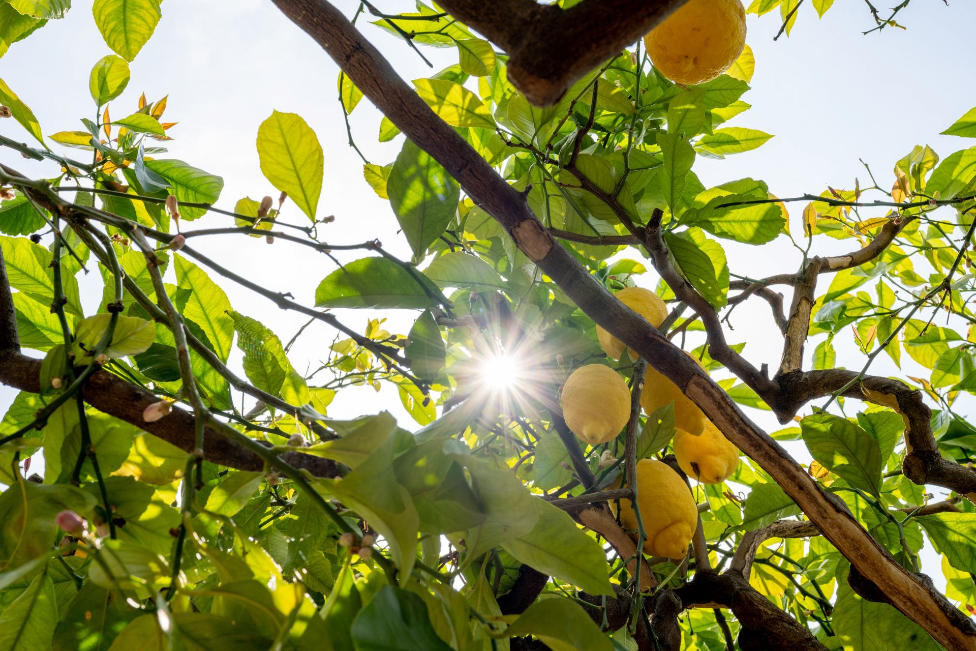 Villa Dimora Di Mare
