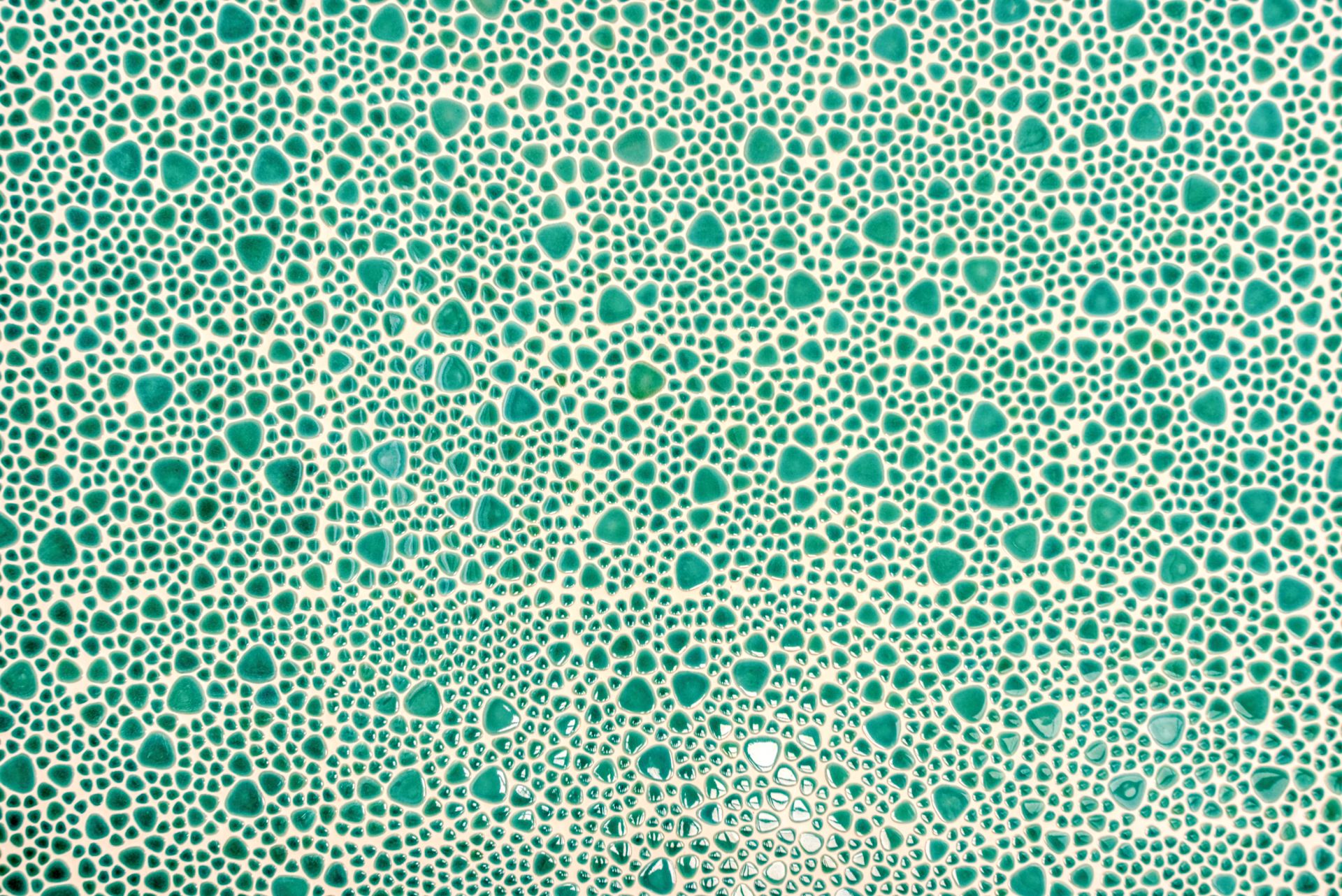 Villa Dacha St. Martin