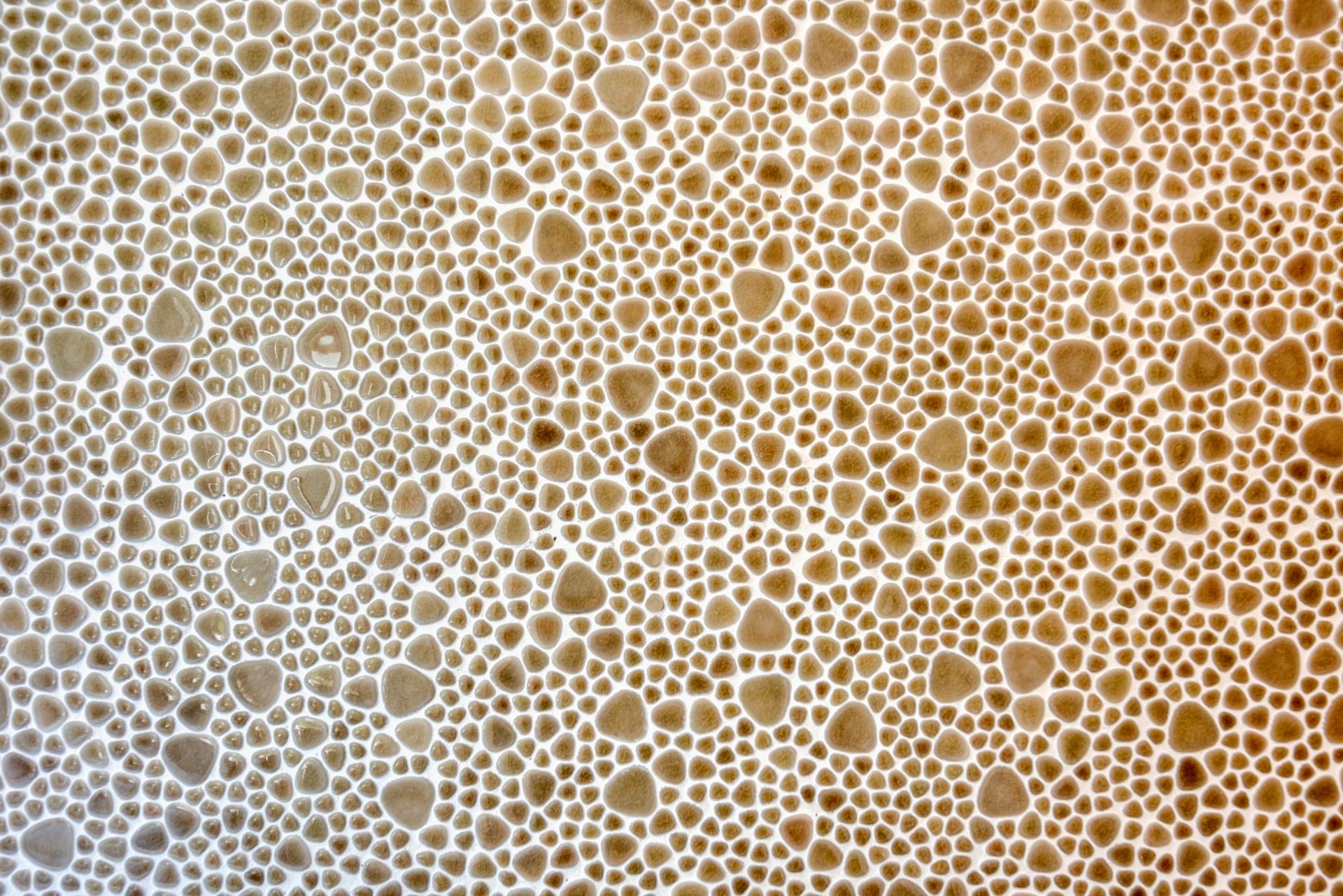 Villa Dacha St. Martin