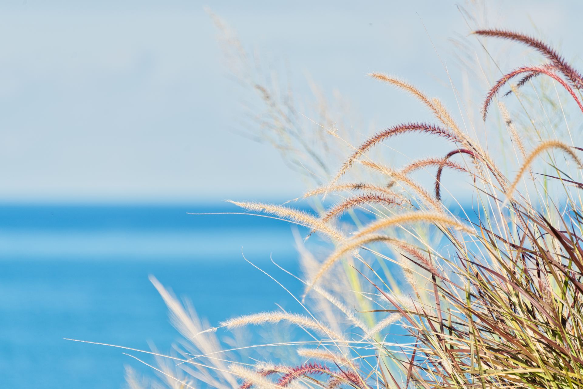 Villa Amalia-Guana Bay