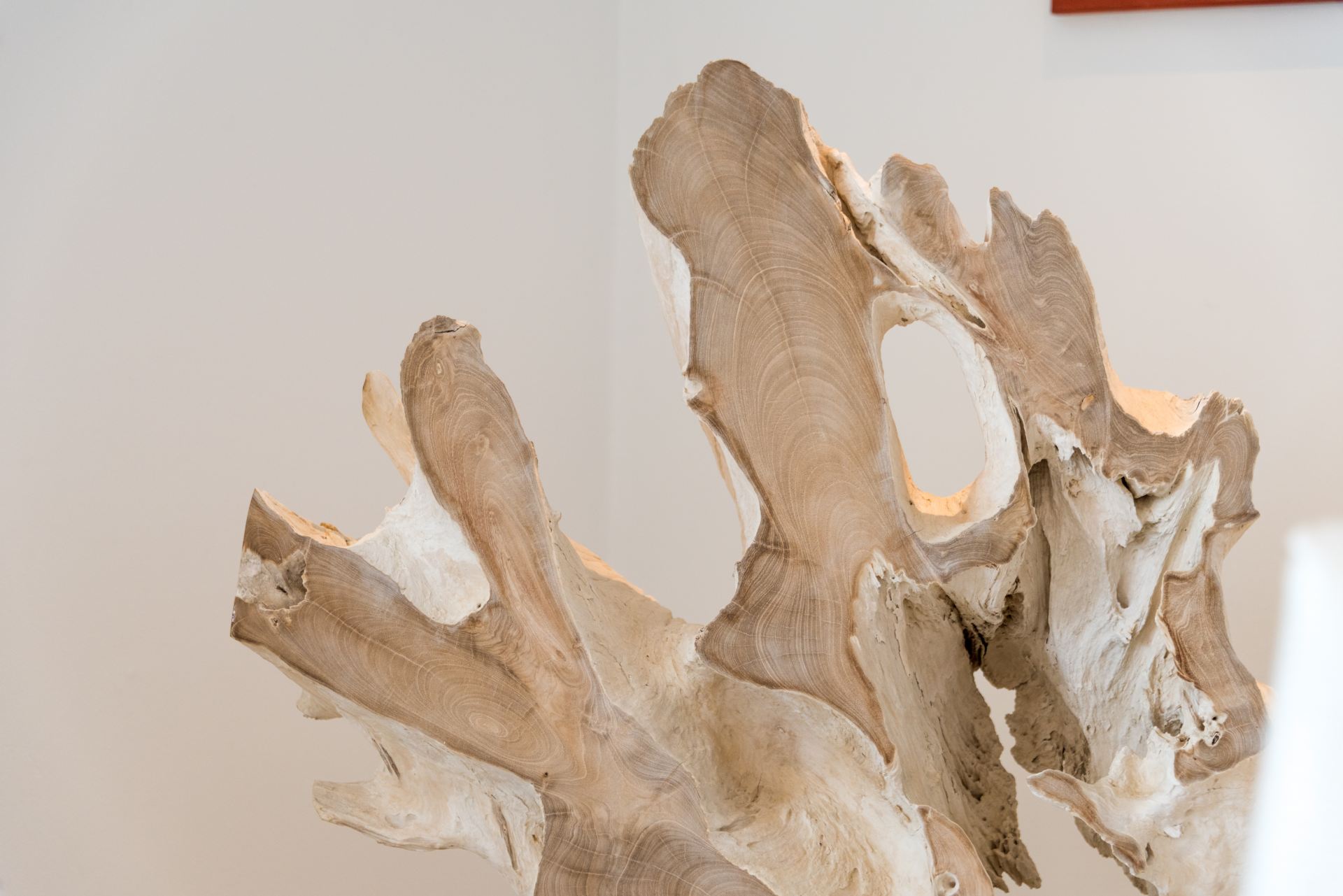 Villa Amalia-Guana Bay