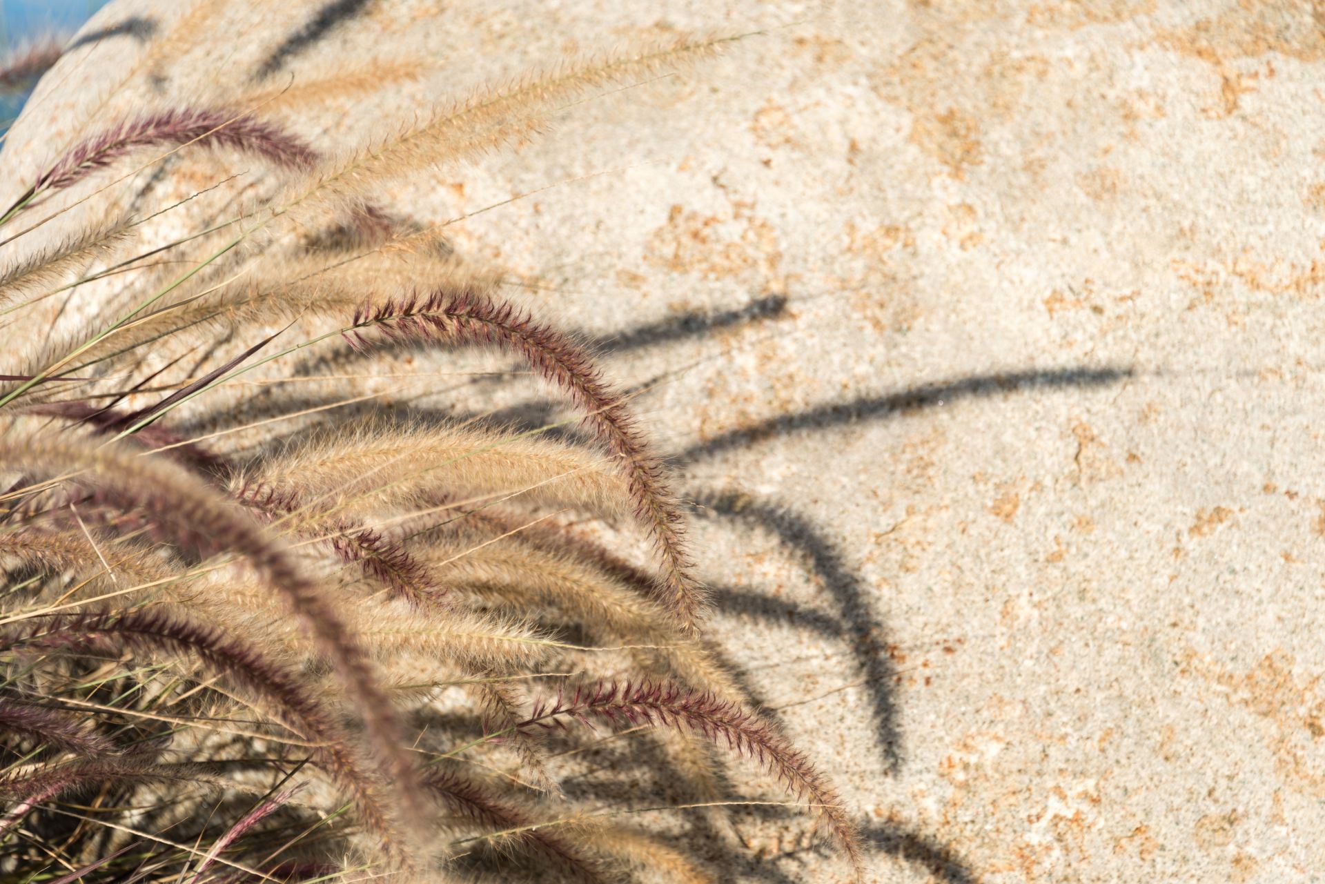 Villa Amalia-Guana Bay