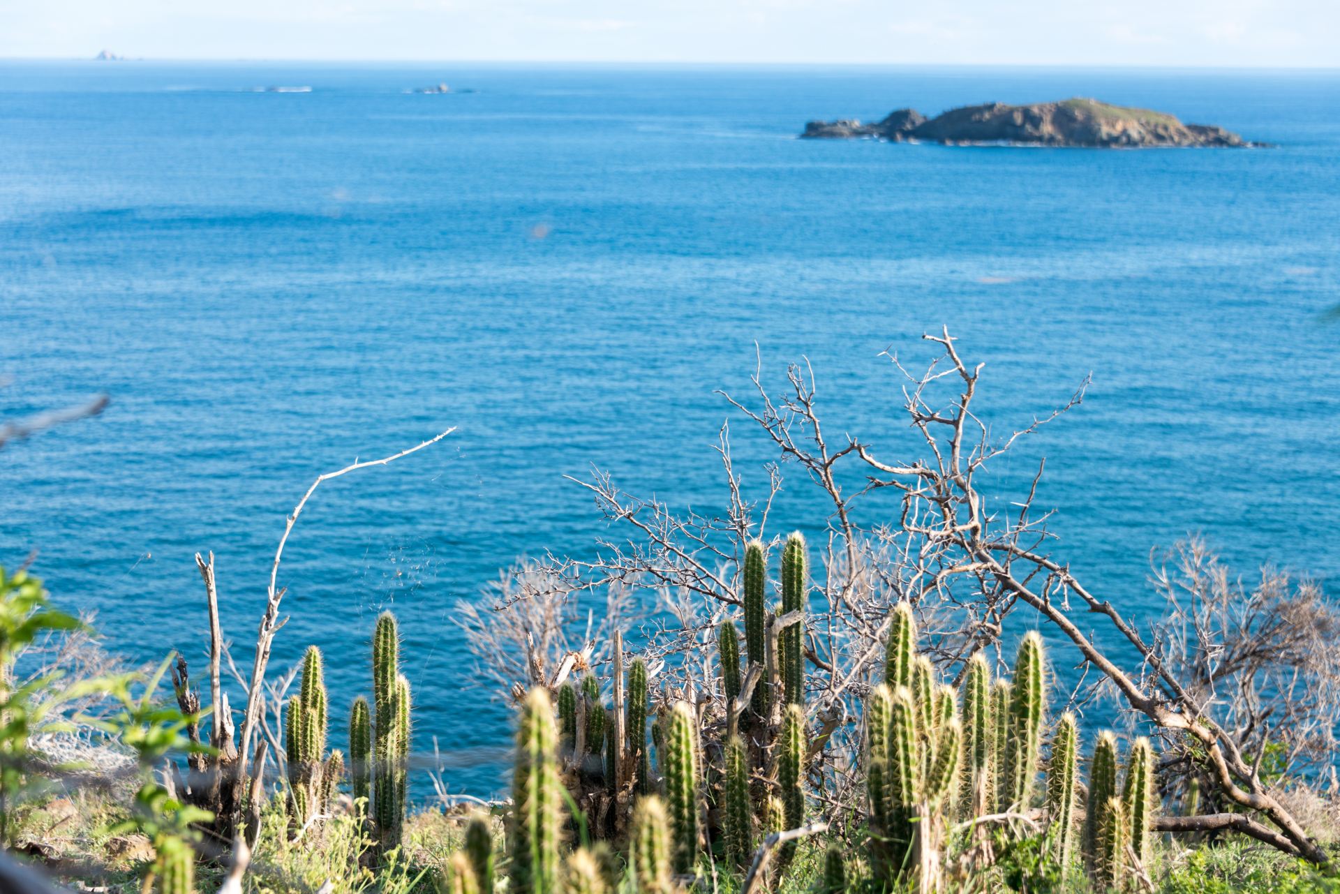 Villa Amalia-Guana Bay