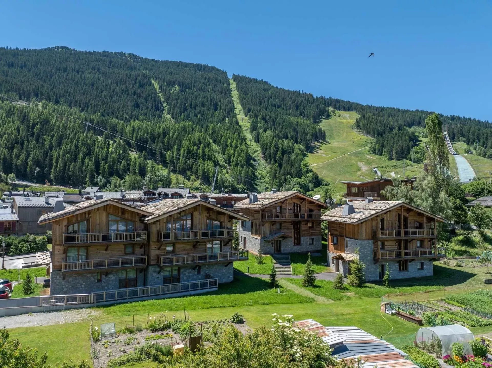 Chalet Bois du Fontanil