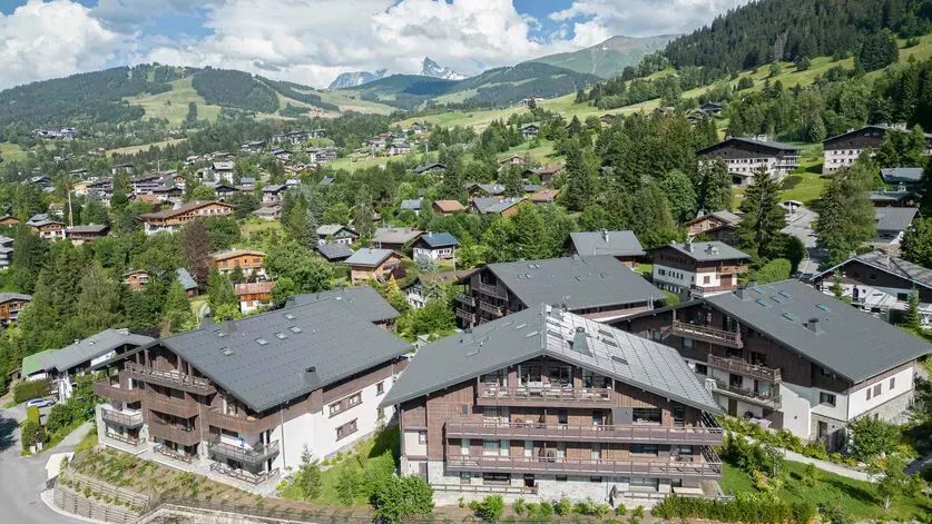 Penthouse Stallion D22