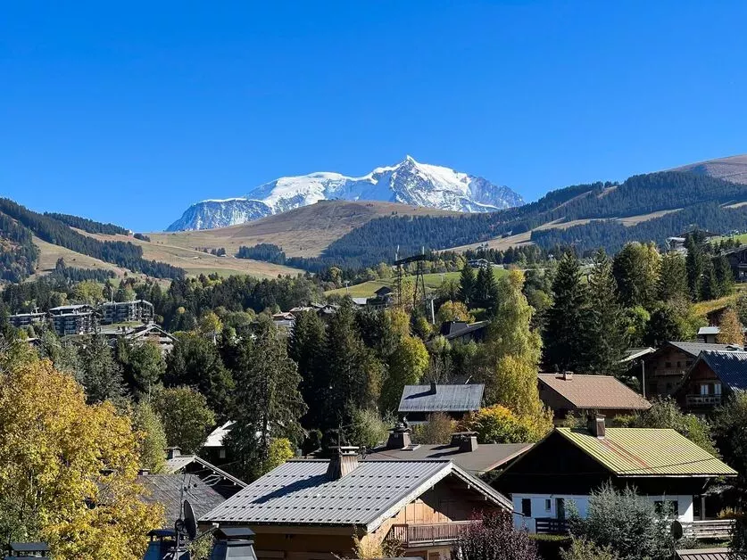 Penthouse Stallion D22