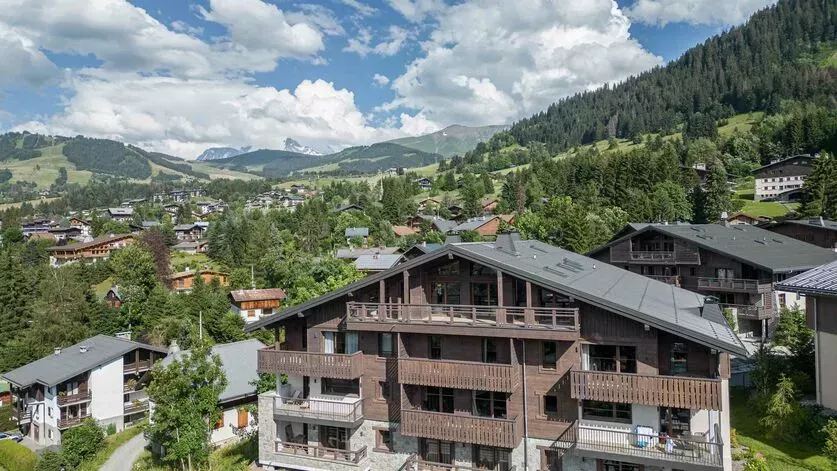 Penthouse Stallion D22