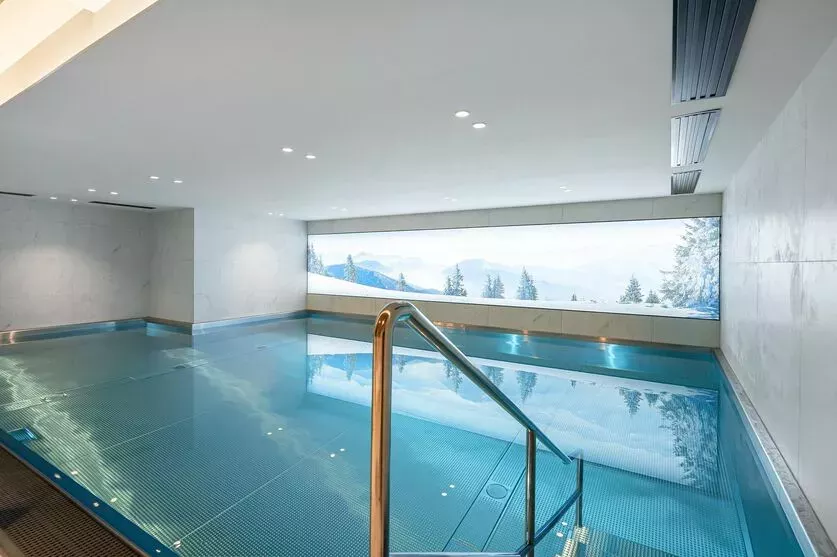 Penthouse Stallion D22