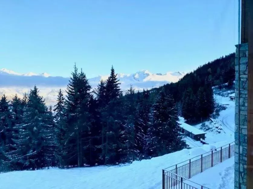 Apartment Les Cristaux A20