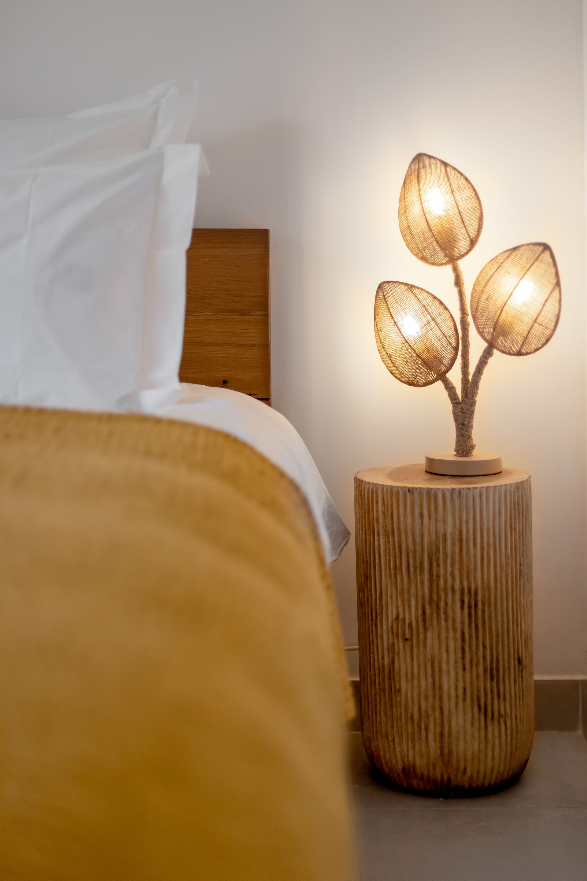 Villa The Beach House-St Martin