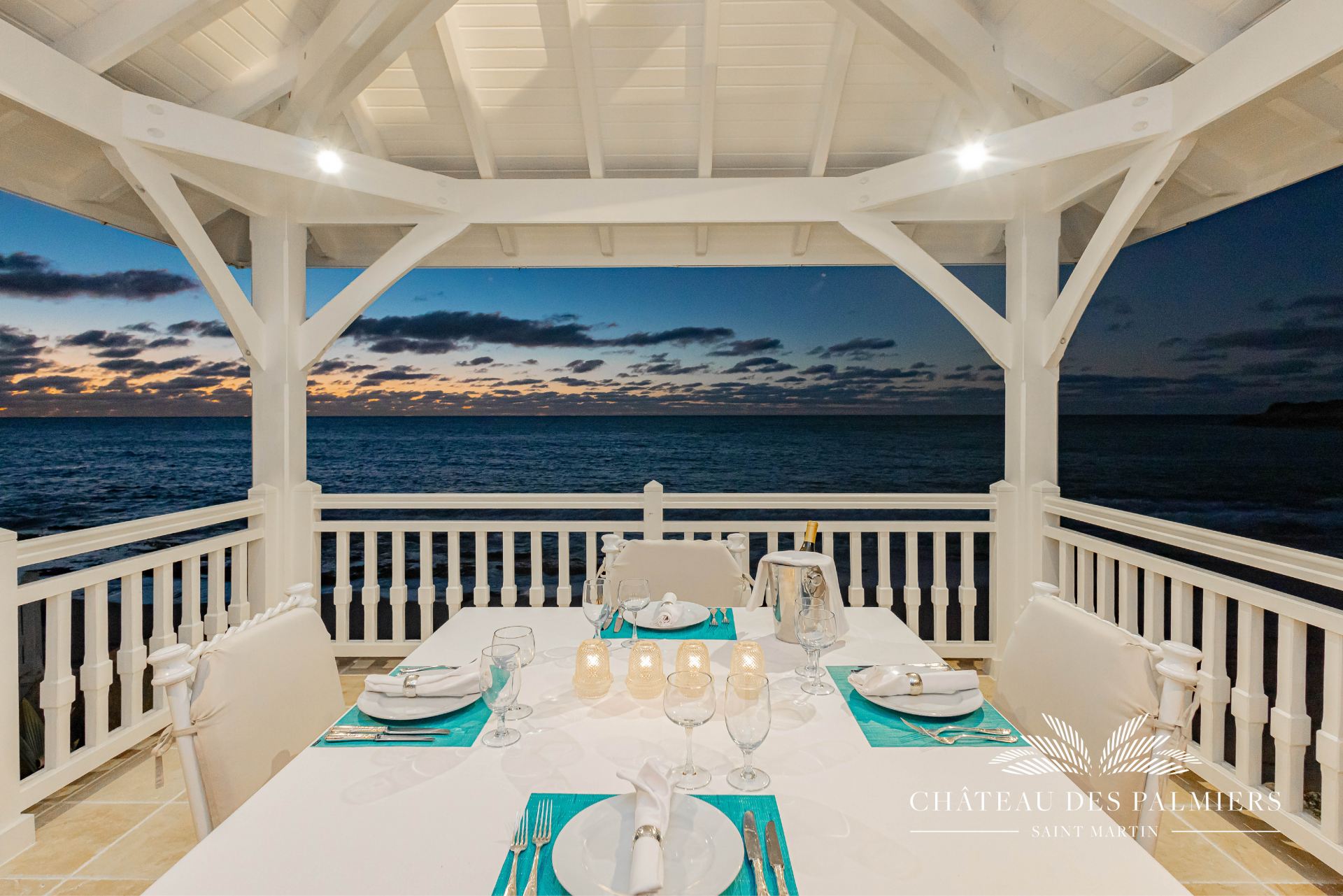 Villa Le Chateau des Palmiers