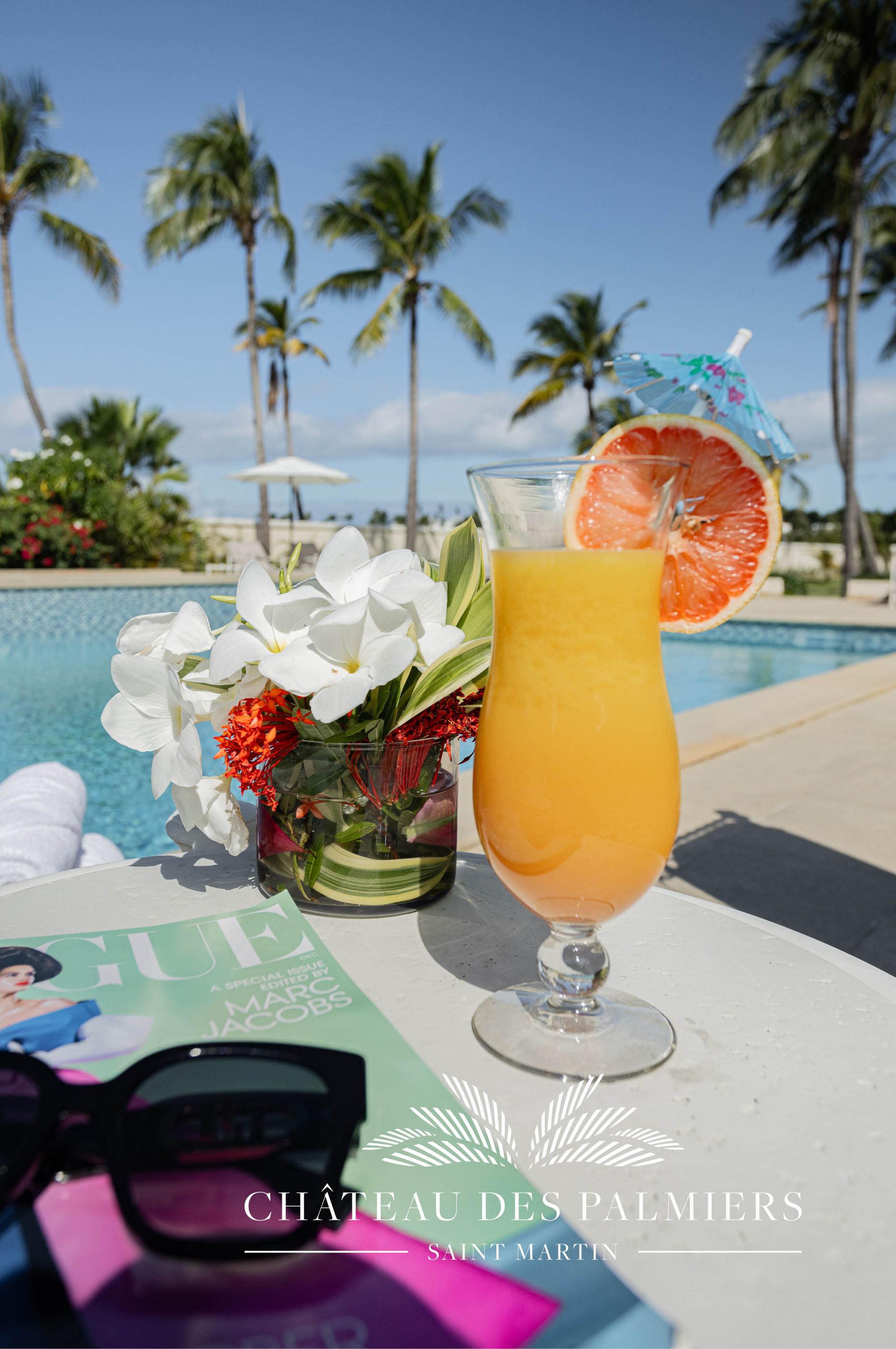 Villa Le Chateau des Palmiers