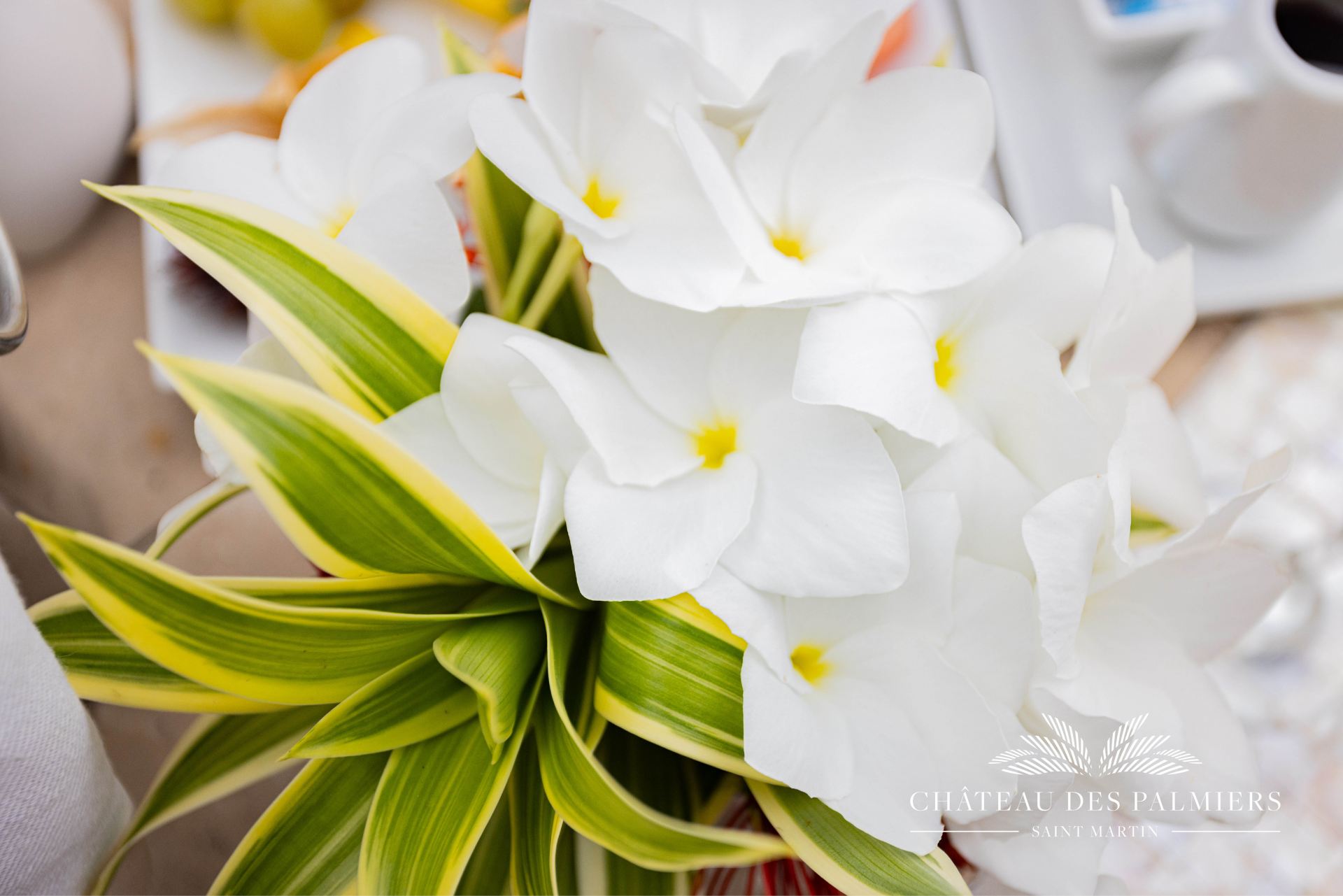 Villa Le Chateau des Palmiers