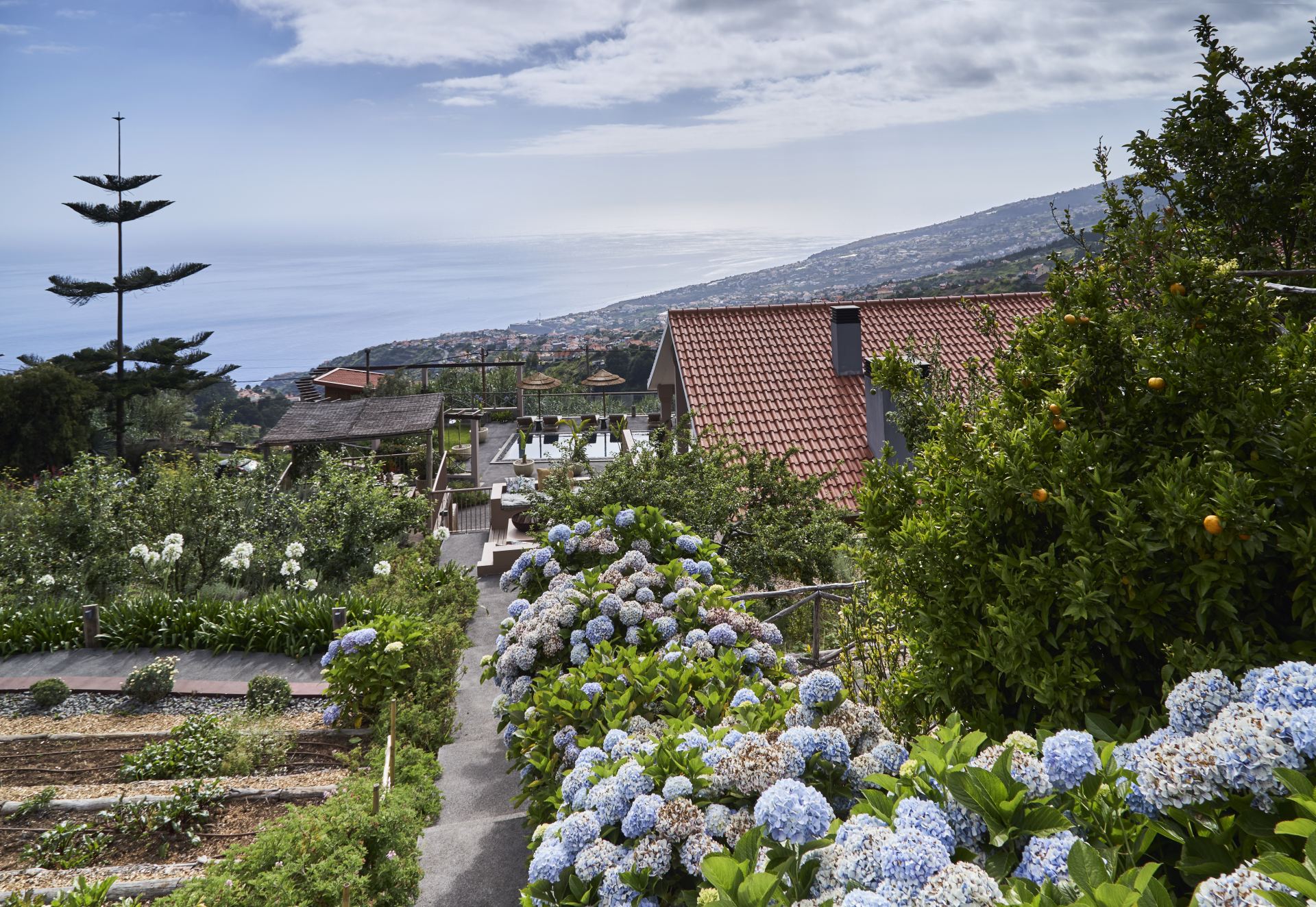 Yeotown Wellness Retreat