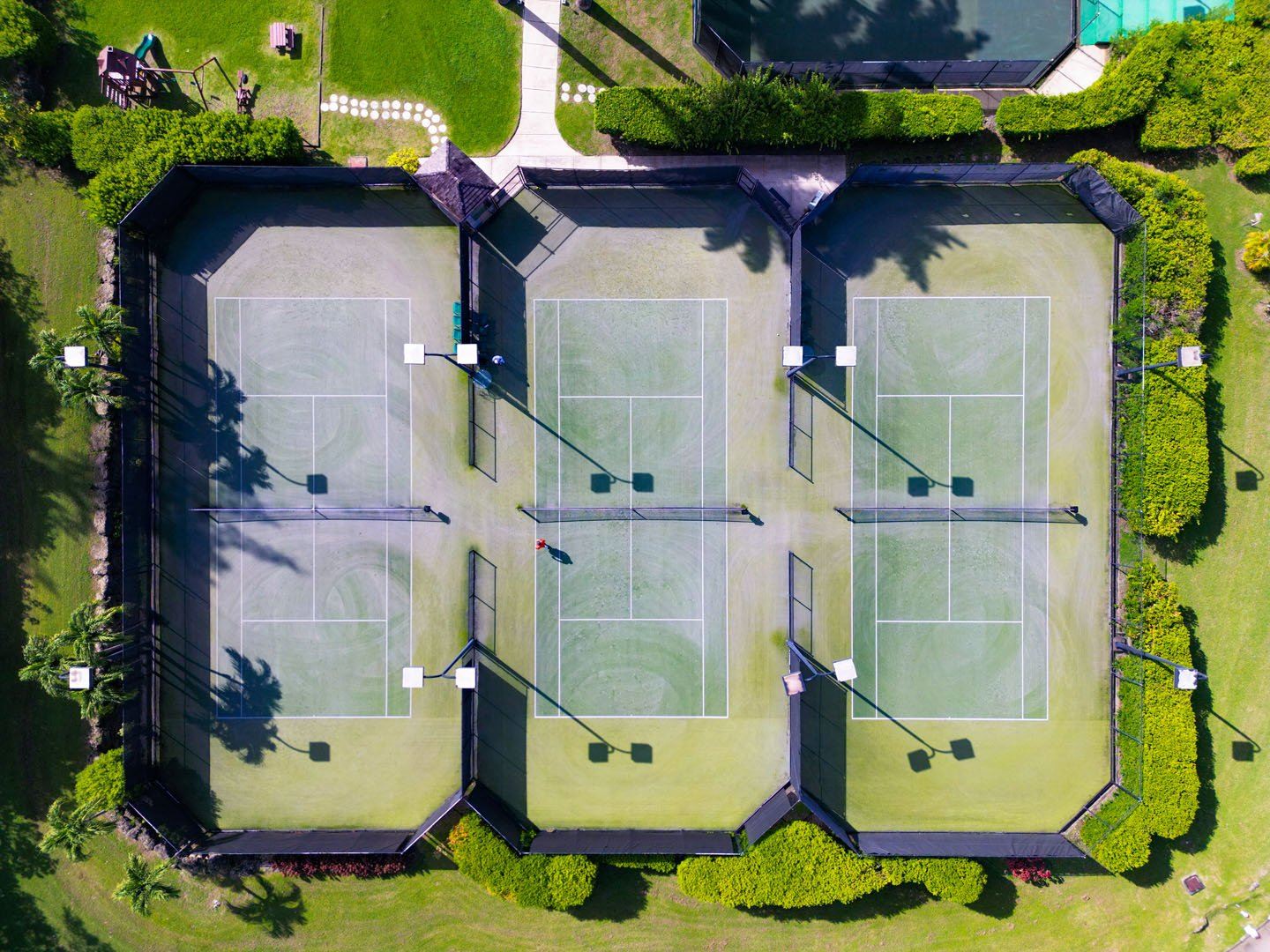 Sugar Hill Frangipani