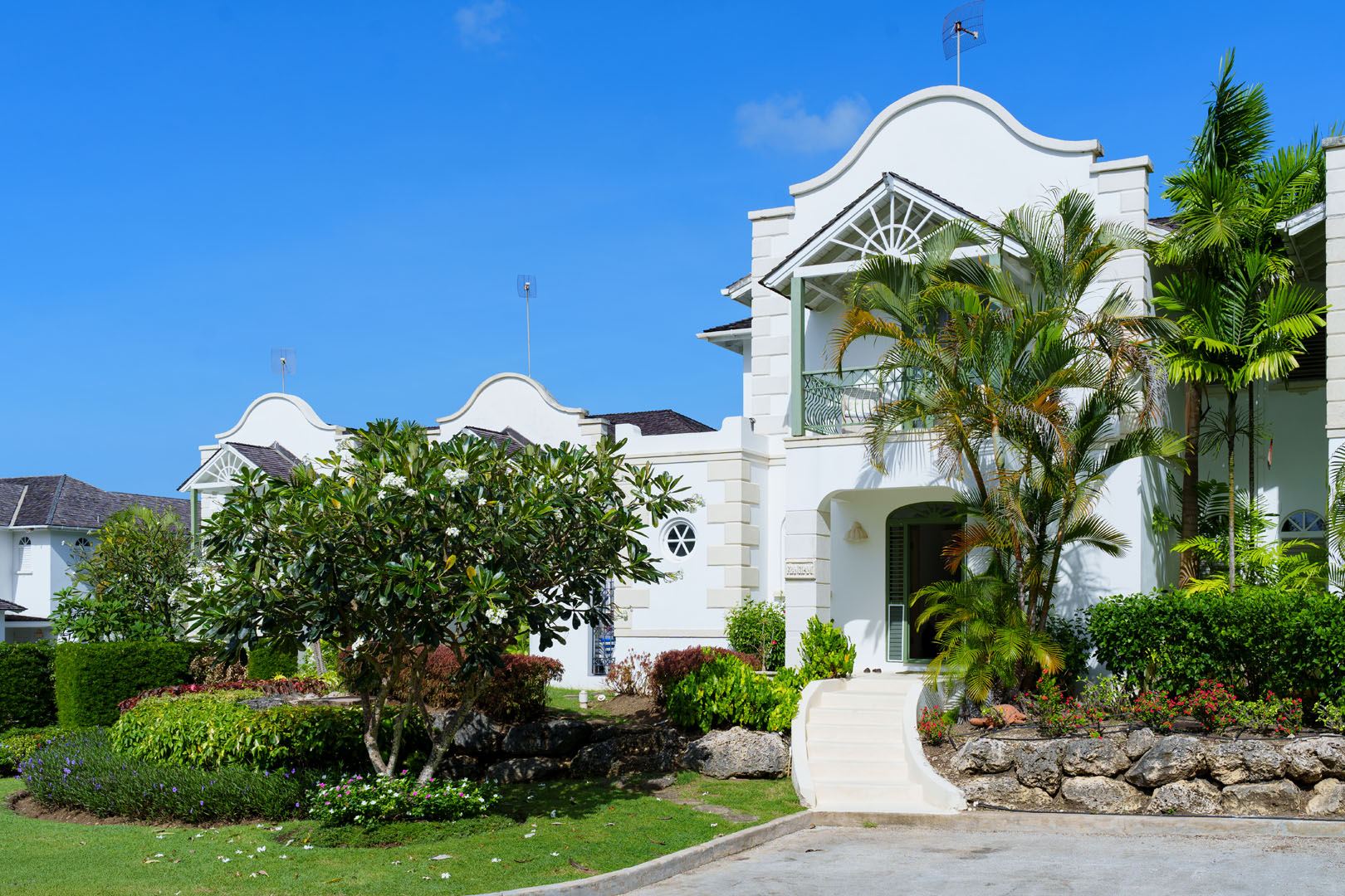 Sugar Hill Frangipani