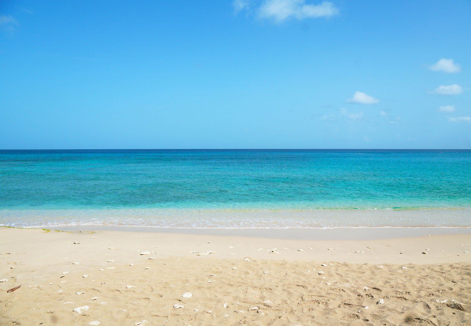 Sugar Hill Frangipani