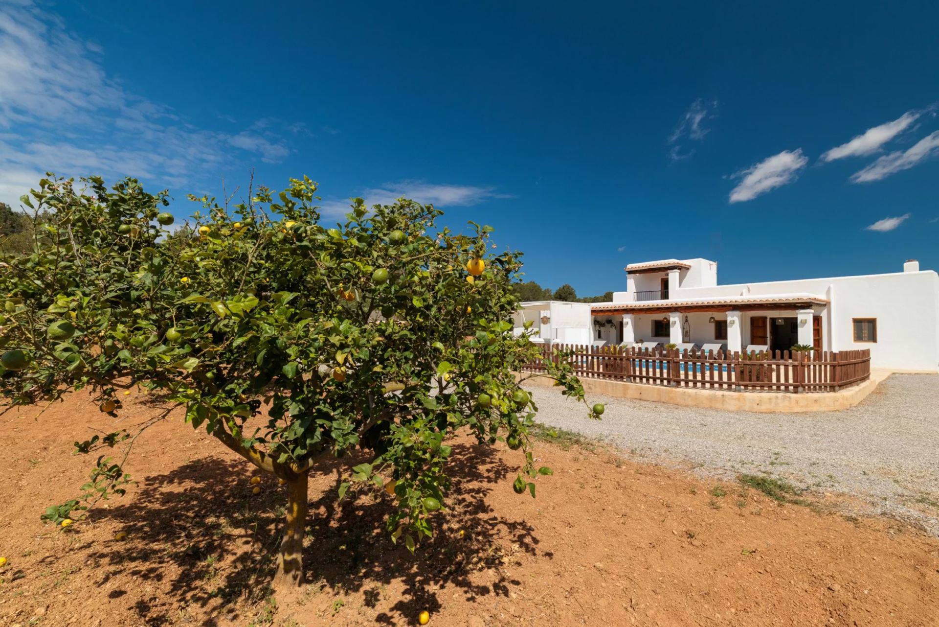 Villa Sa Tarongerada