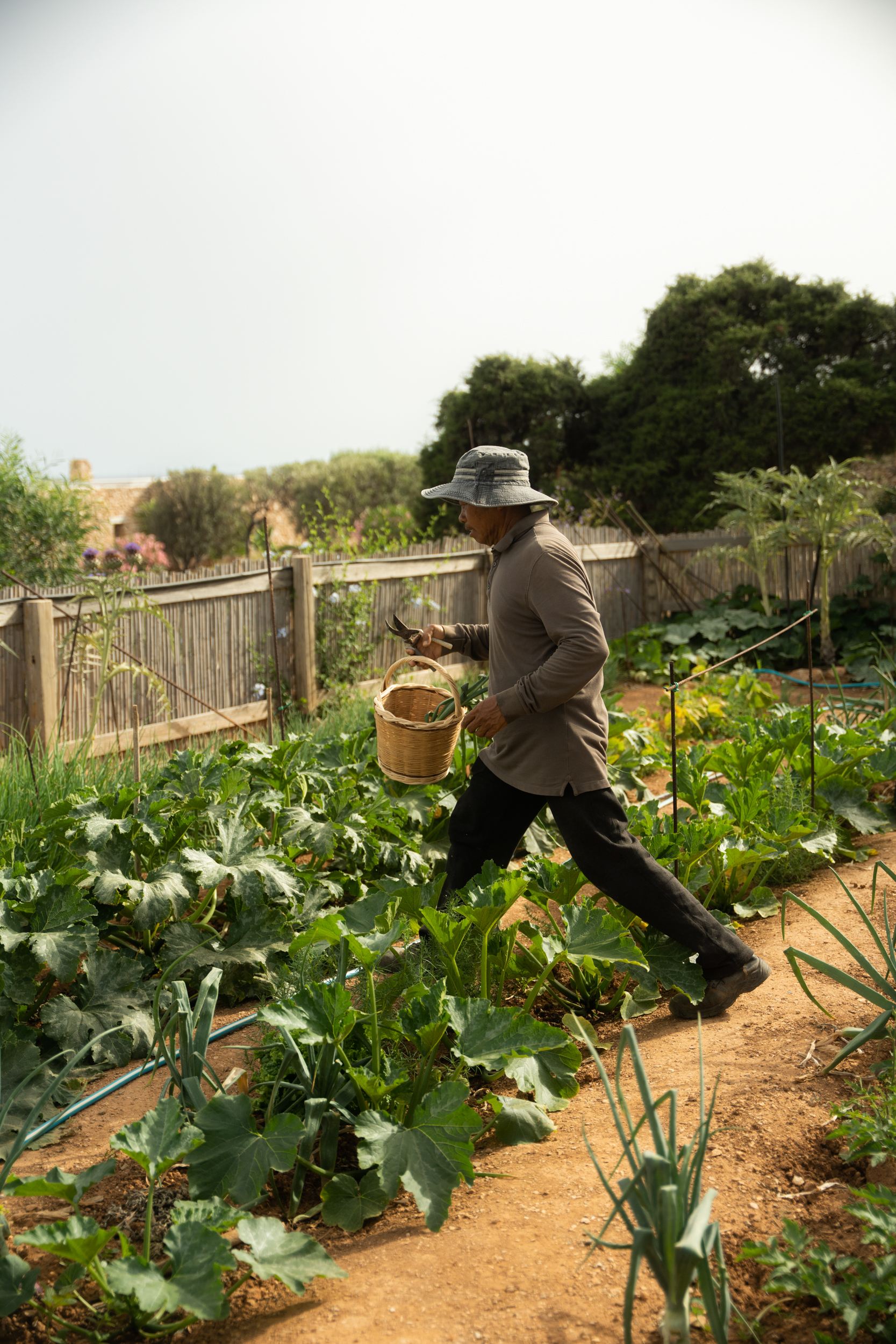 Villa Makria Miti North