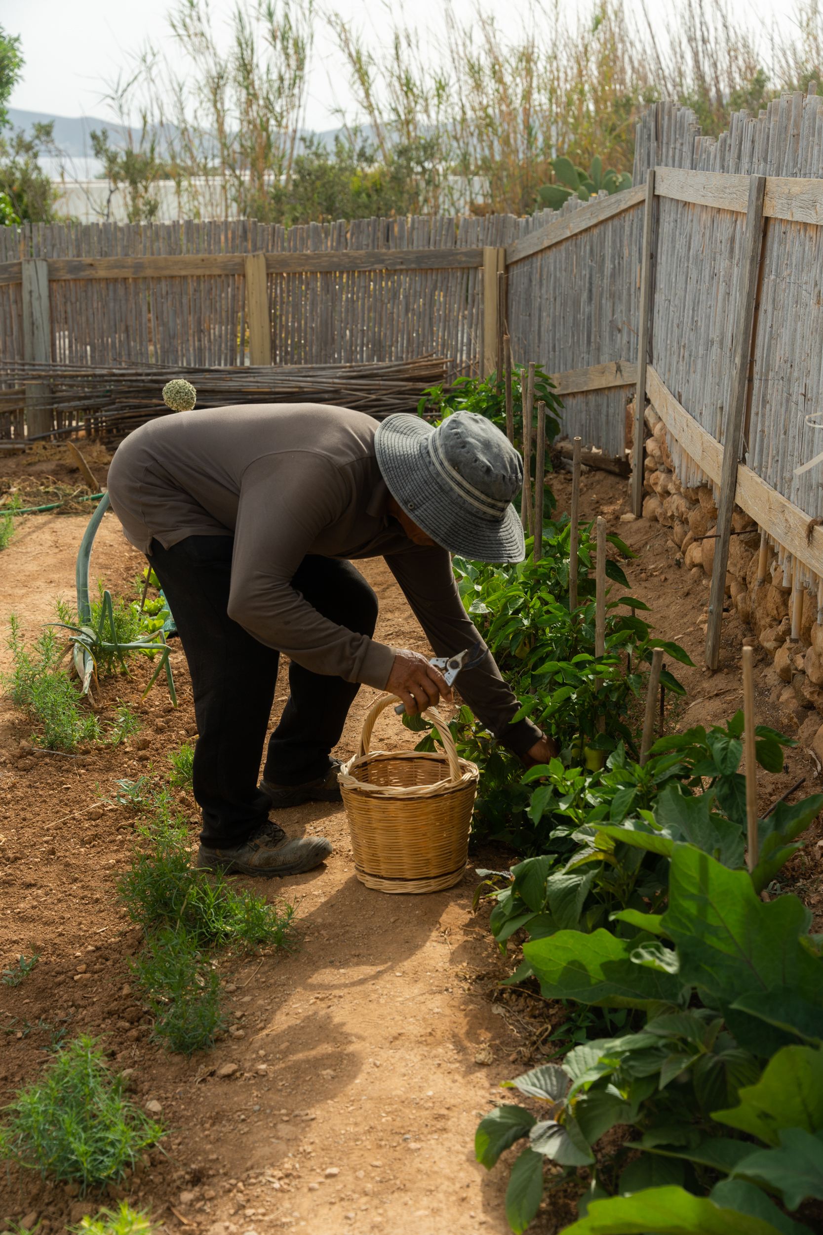 Villa Makria Miti North