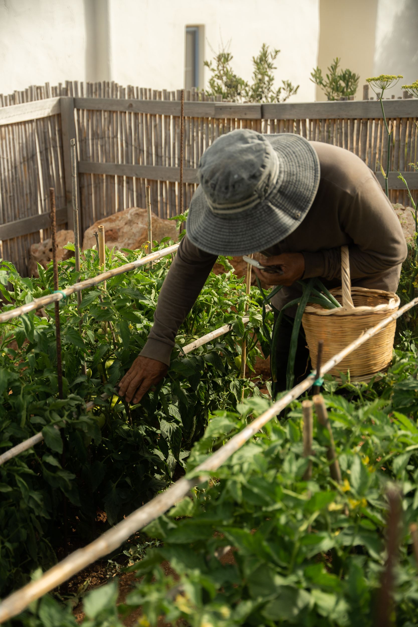 Villa Makria Miti North