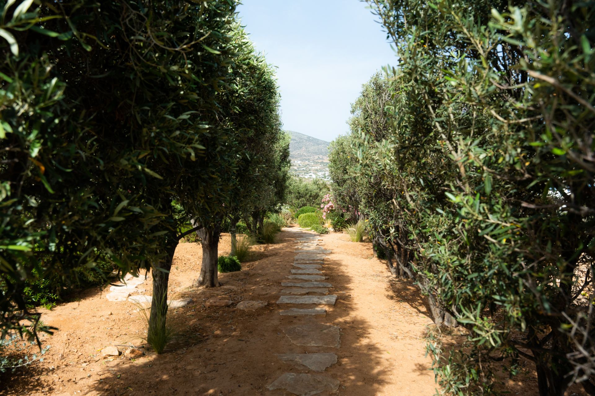 Villa Makria Miti North