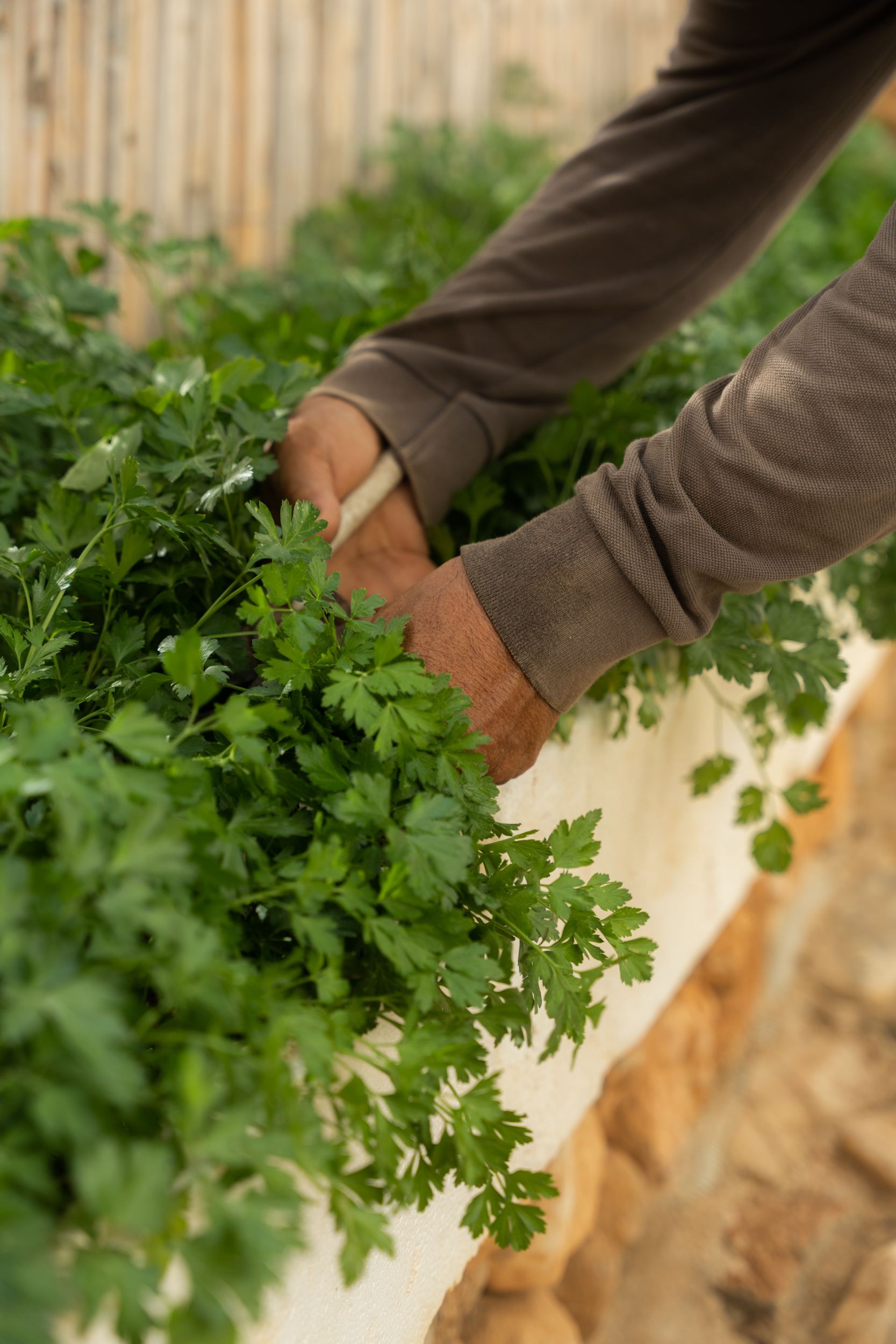 Villa Makria Miti North