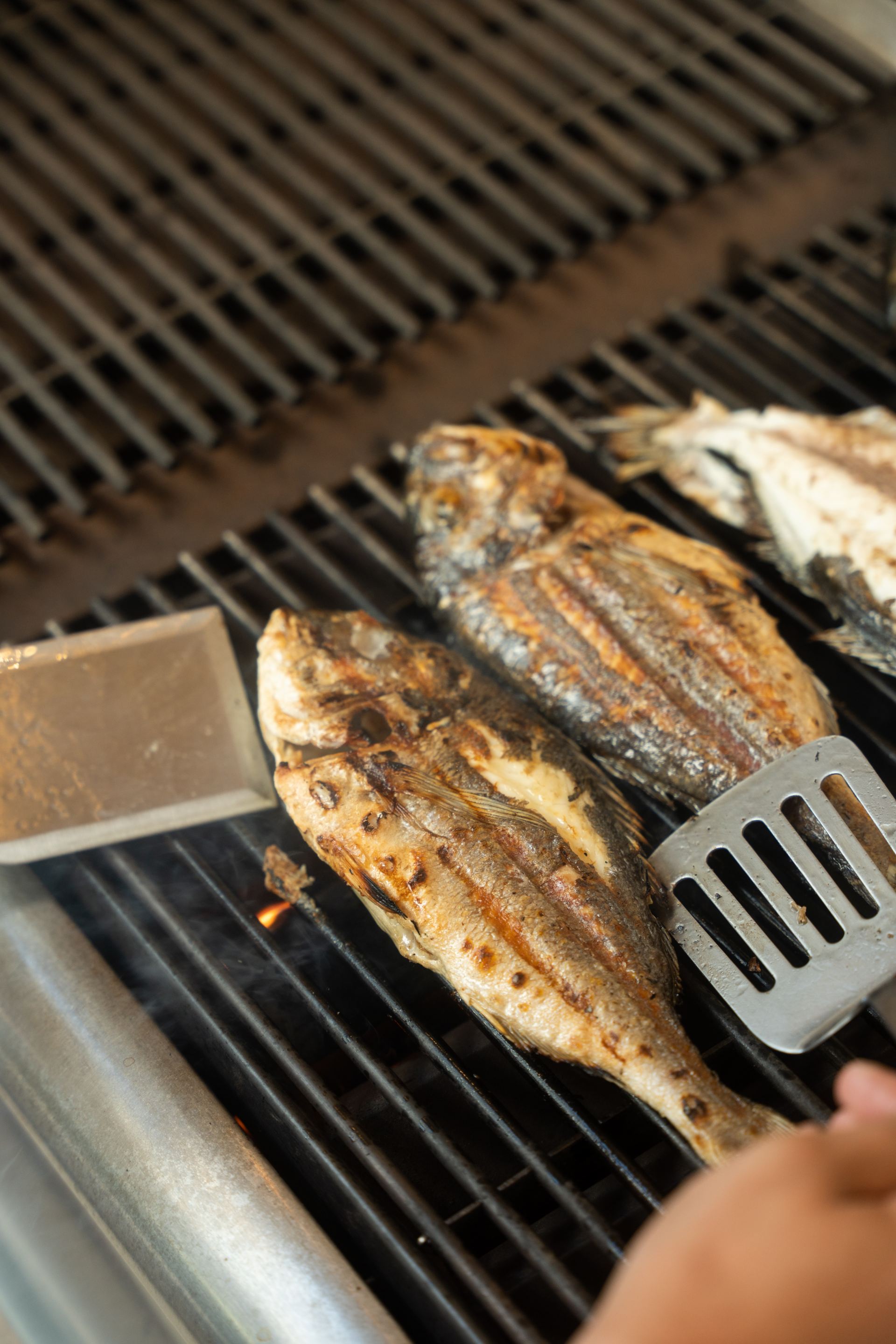 Villa Makria Miti South