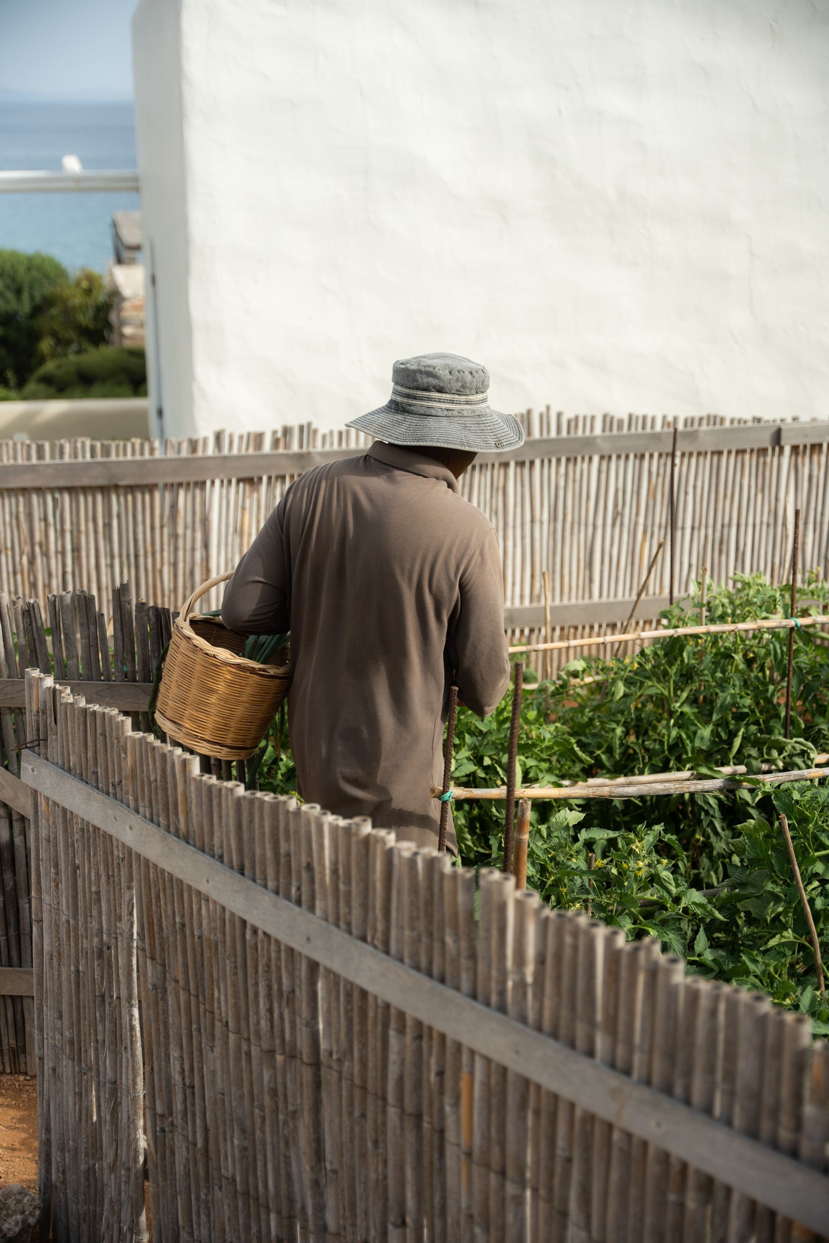 Villa Makria Miti North